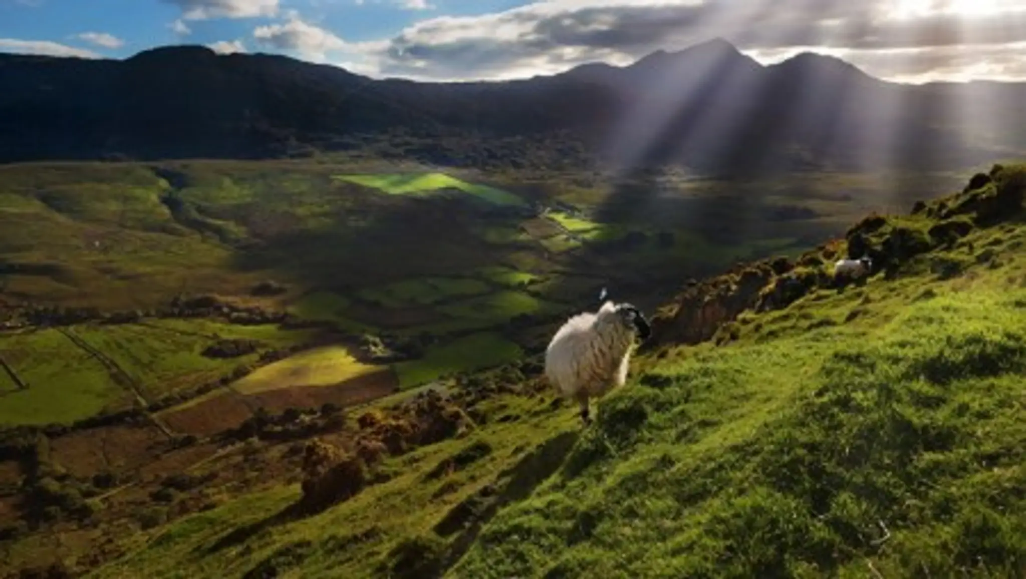 Eclipse Centre Holiday Homes & Activity Centre