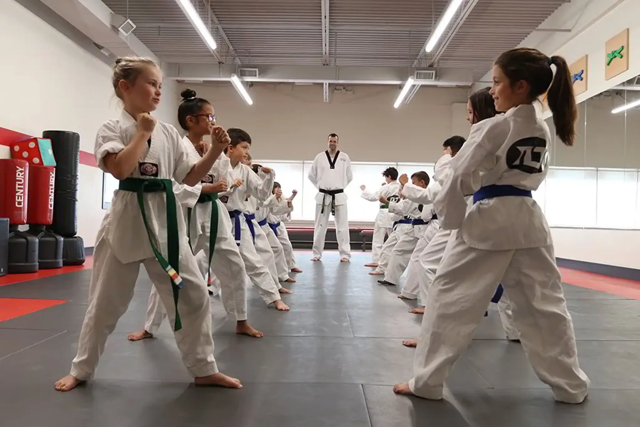 Top Level Taekwondo & Martial Arts Academy Cambridge