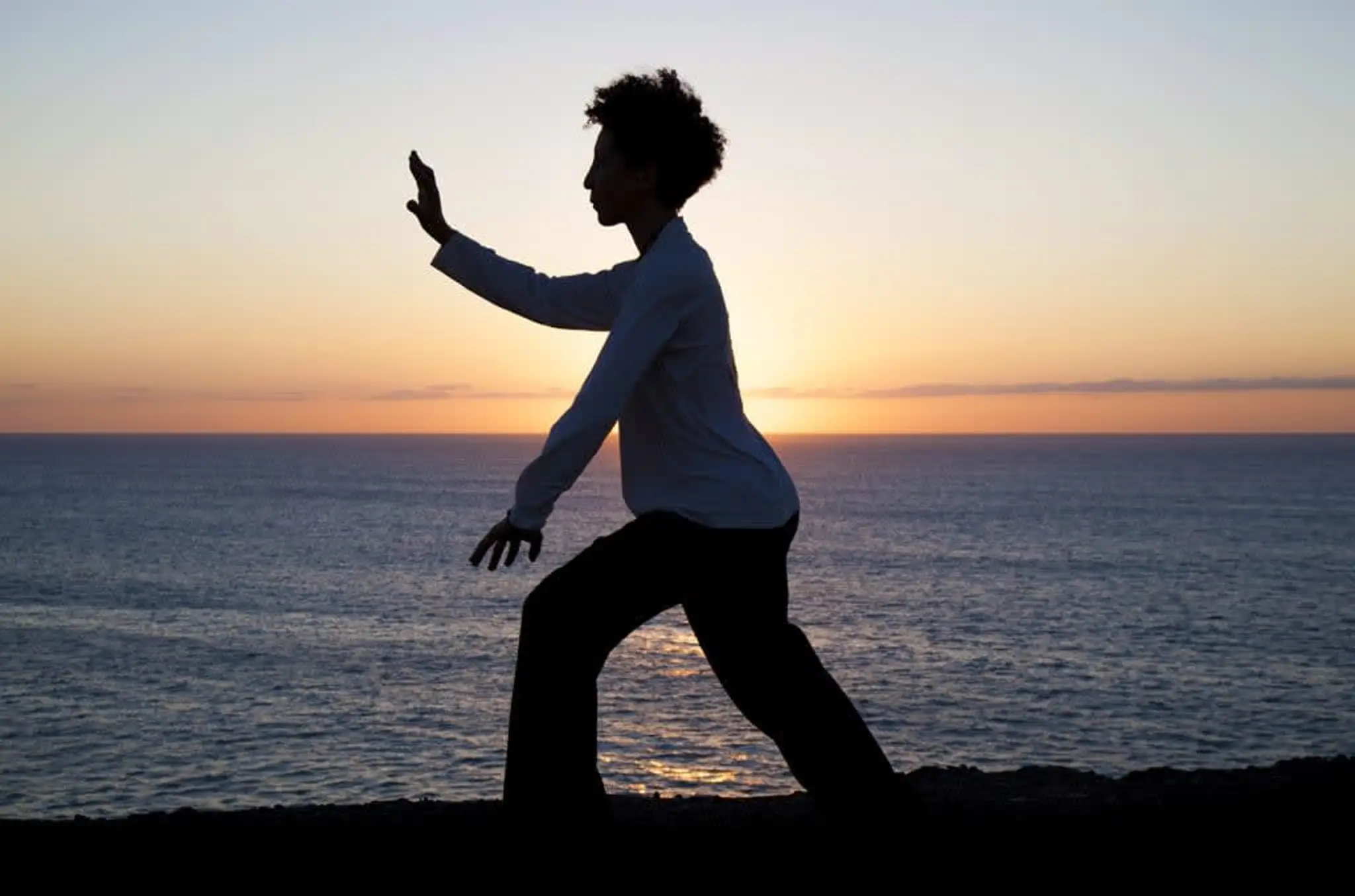Personal Tai Chi Training