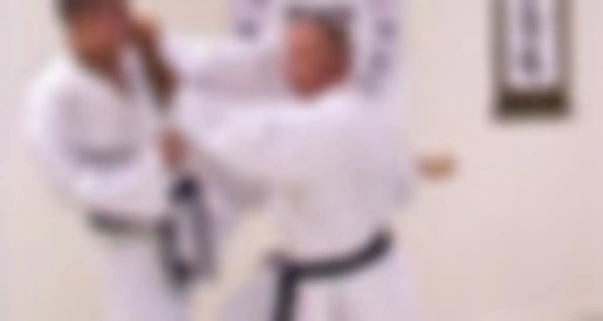 Karate-Do Shotokan