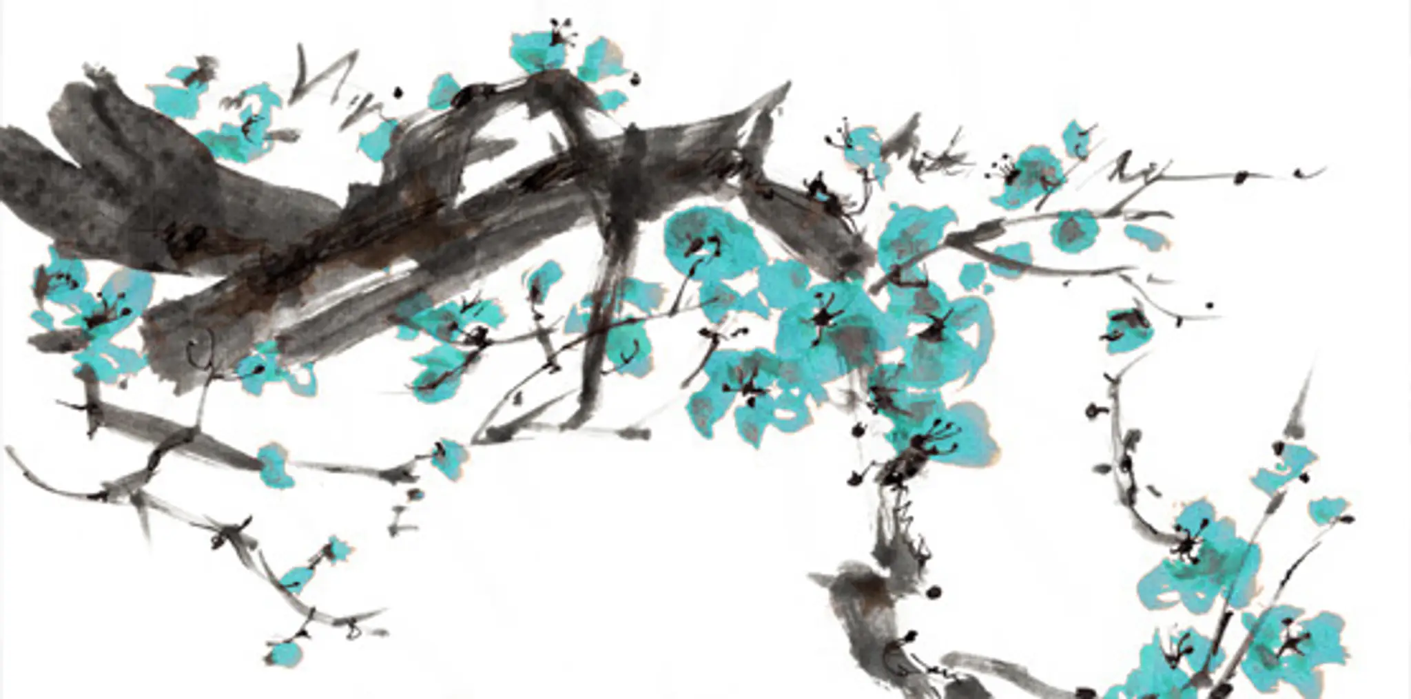 Lynn Owen Acupuncture & Buteyko- Chester and Wrexham