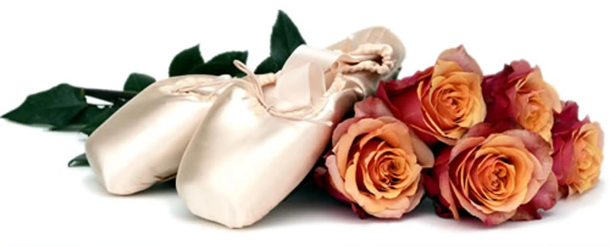 Rox School Of Dance & Drama