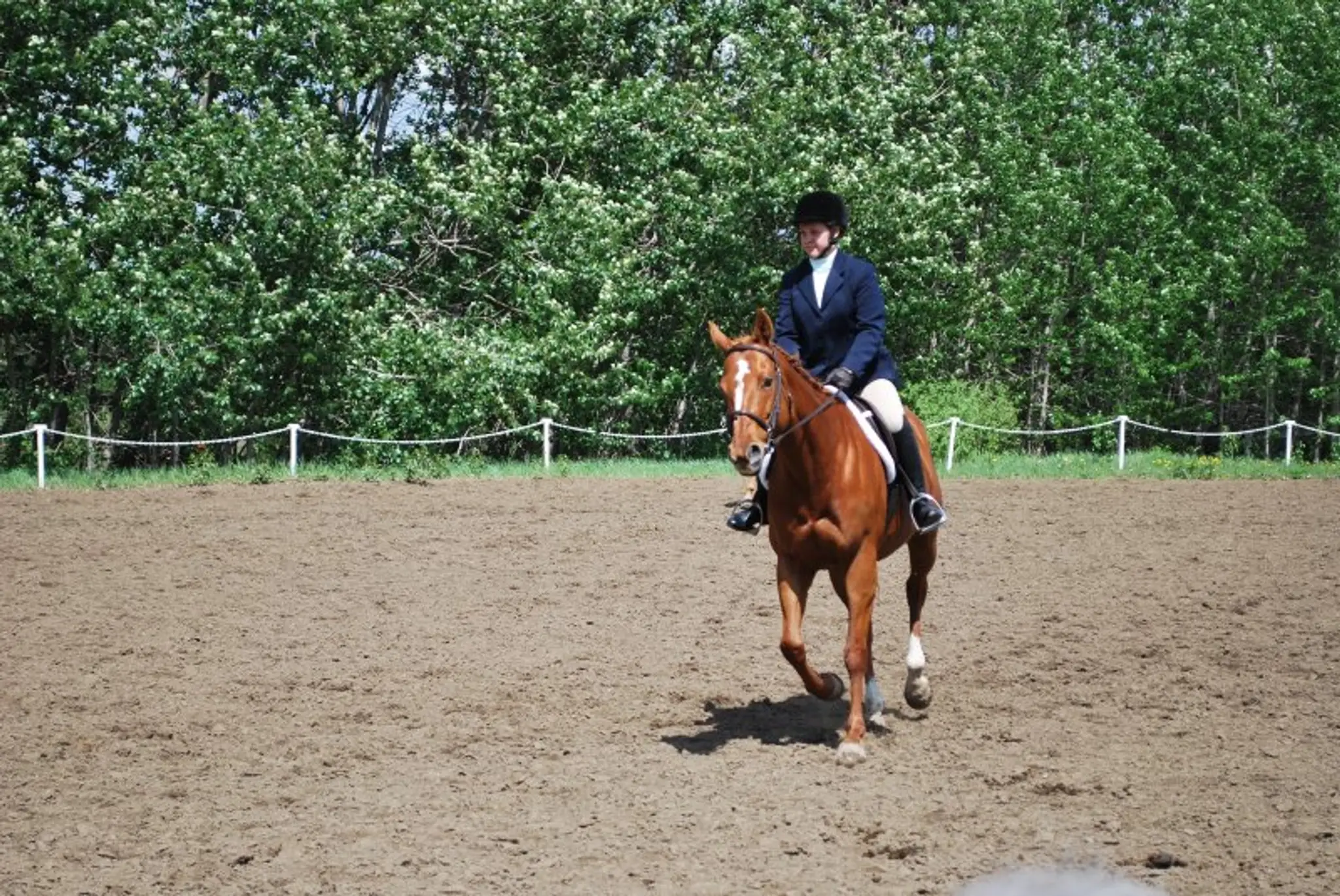 Trendsetting Stables