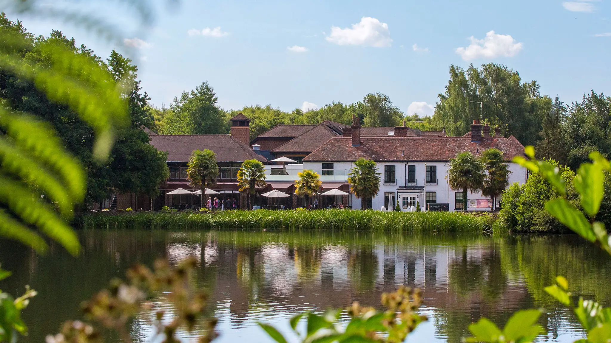 Frensham Pond Hotel & Spa