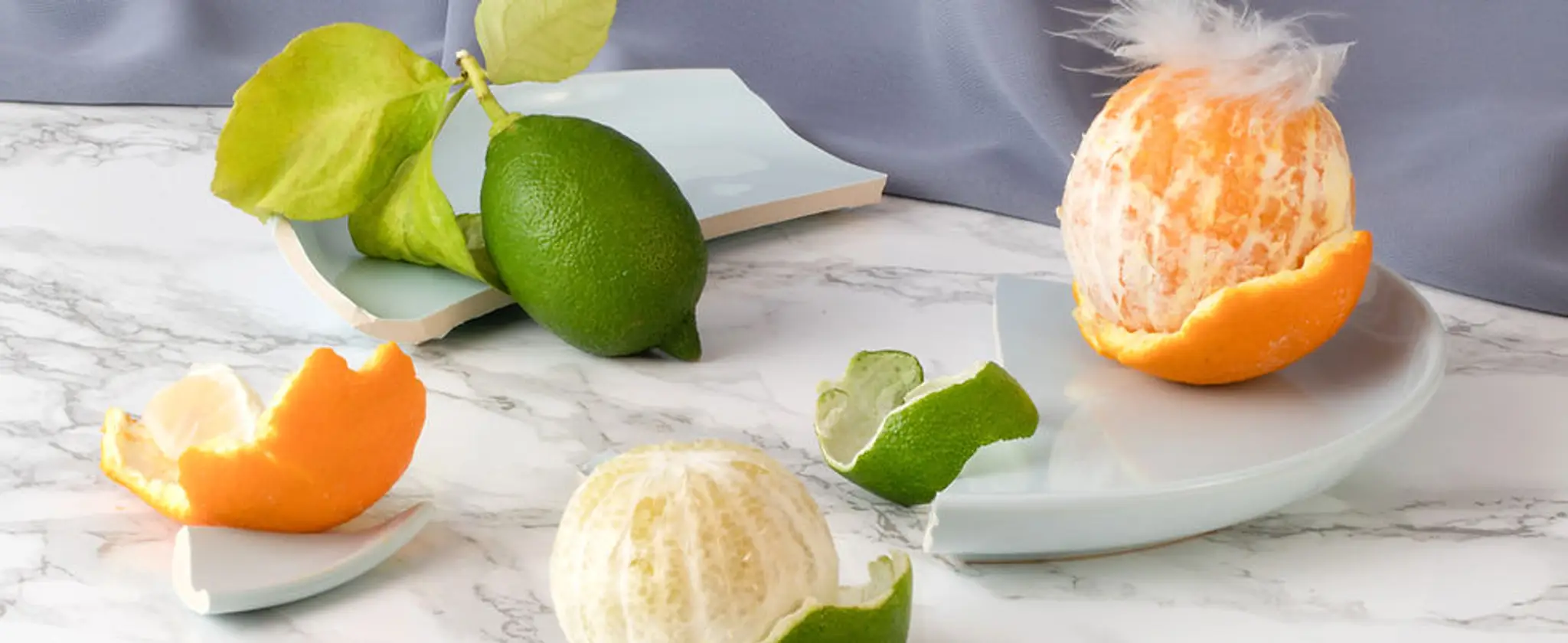 Barre Fly Fitness Studio London