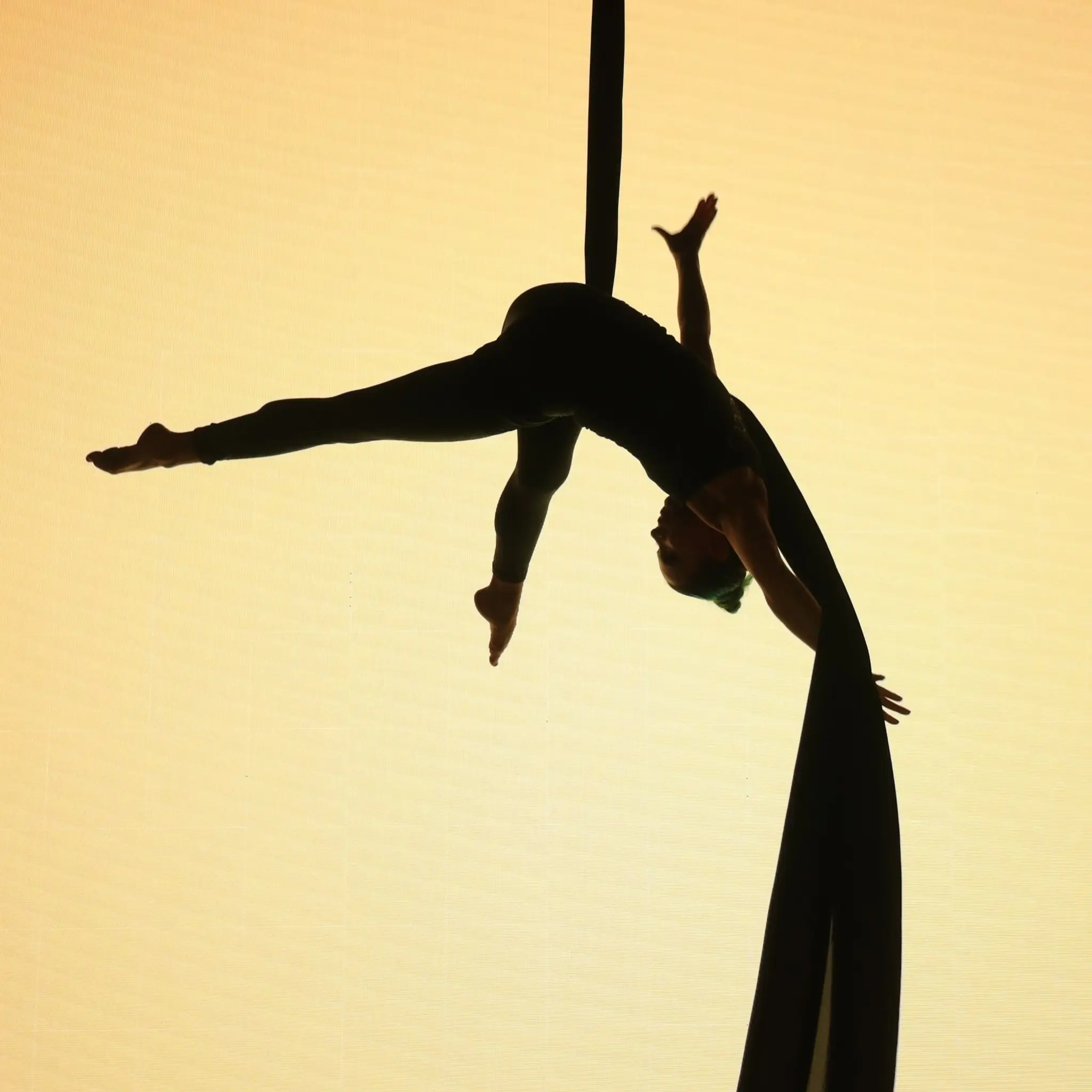 Articus Productions Inc.