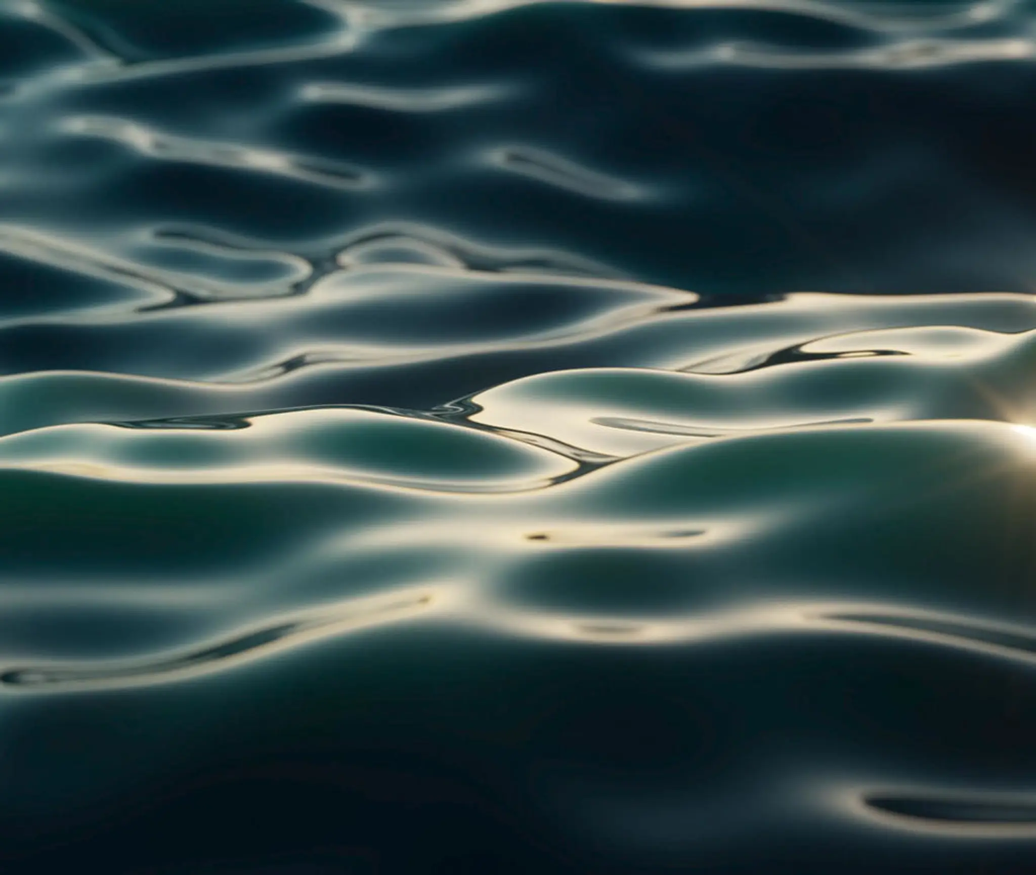 IKD St. Johns Karate Dojo