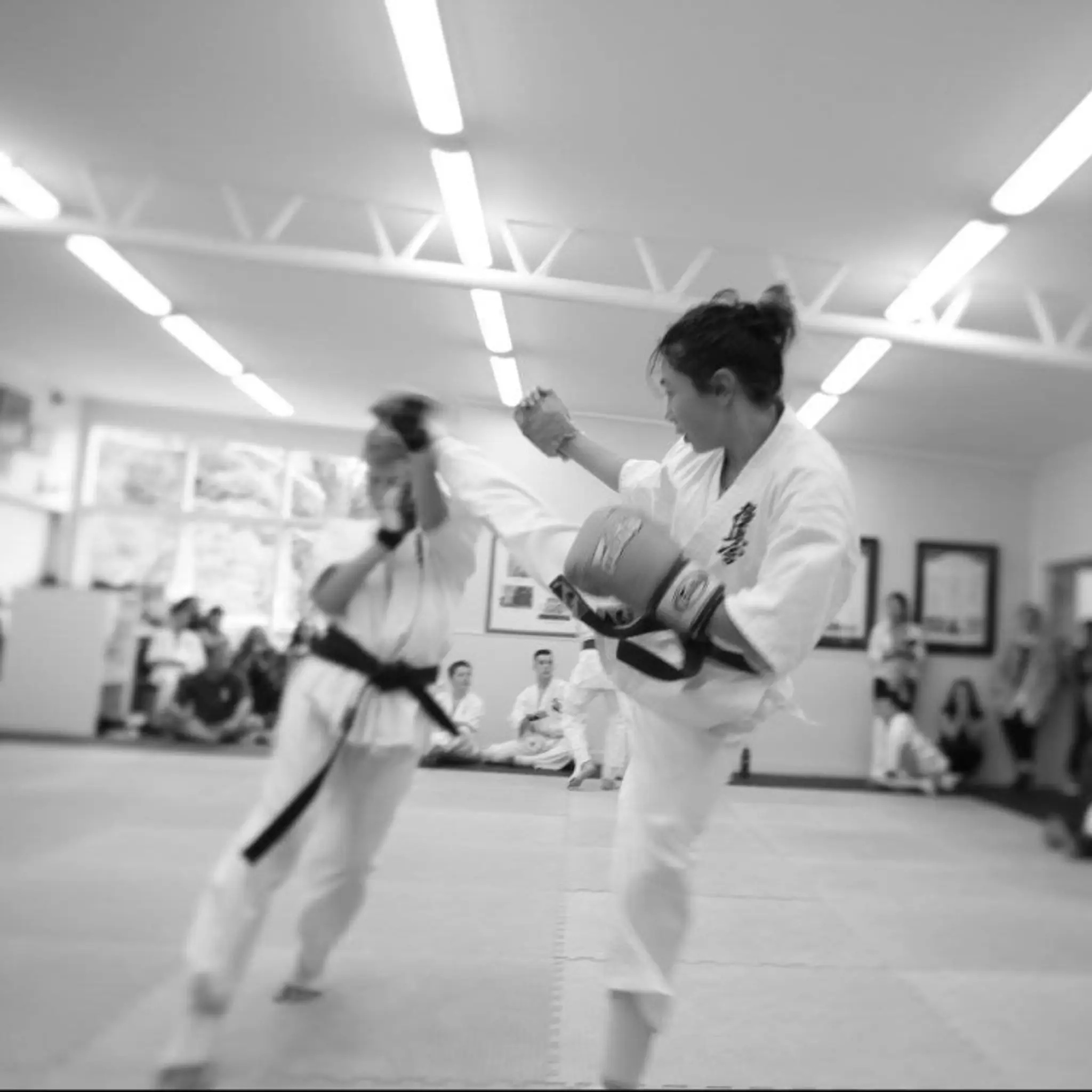 Kyokushin Karate