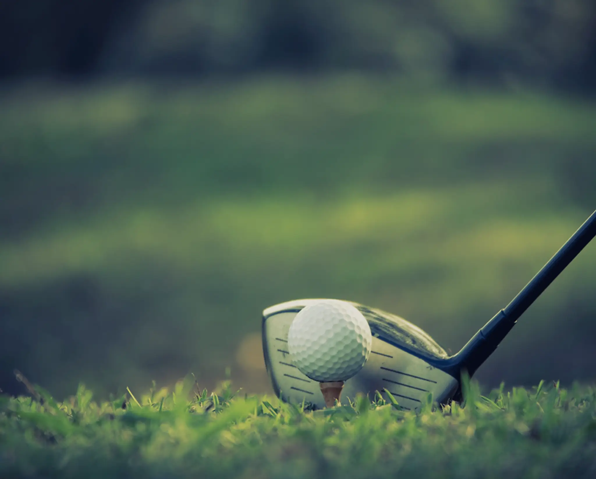 MVM Indoor Golf Facility