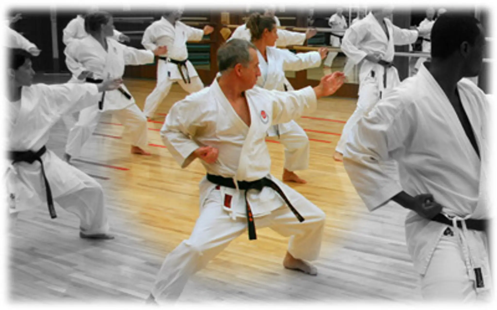 Karate Club Shotokan De Sainte-Foy
