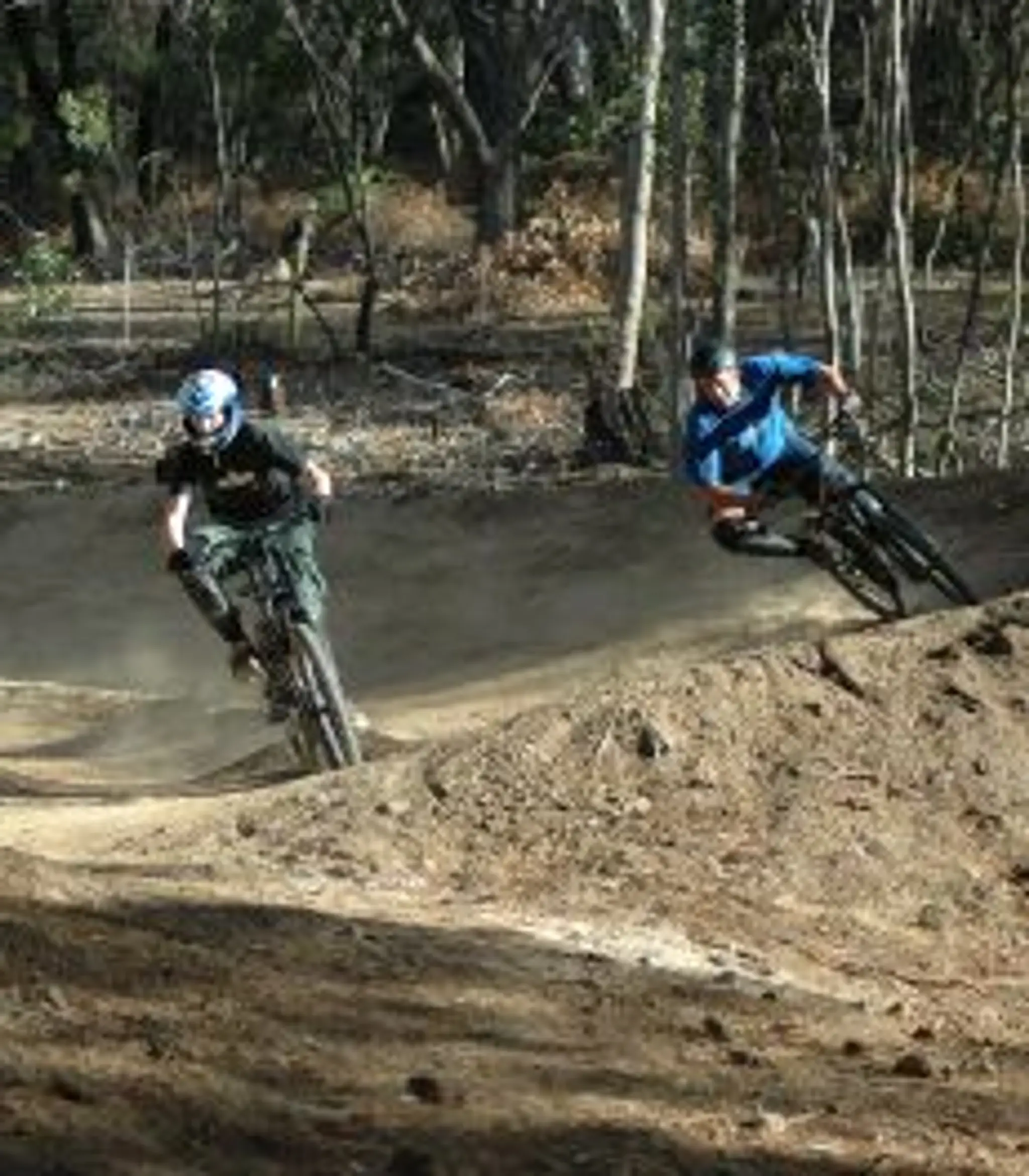 Anglesea Bike Park