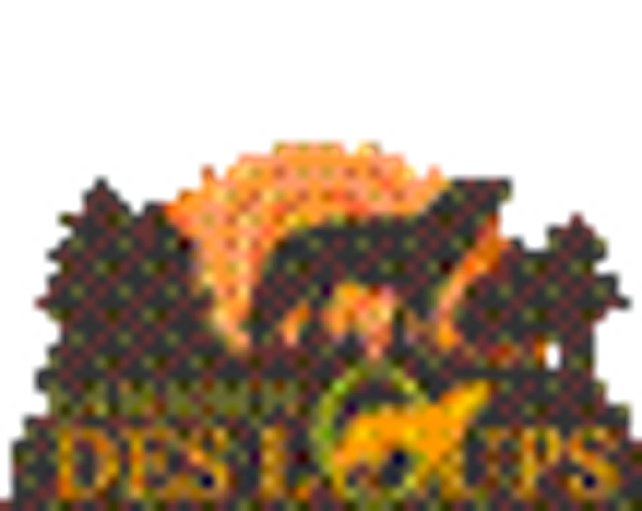 Dojo Pins-Justaret Villate