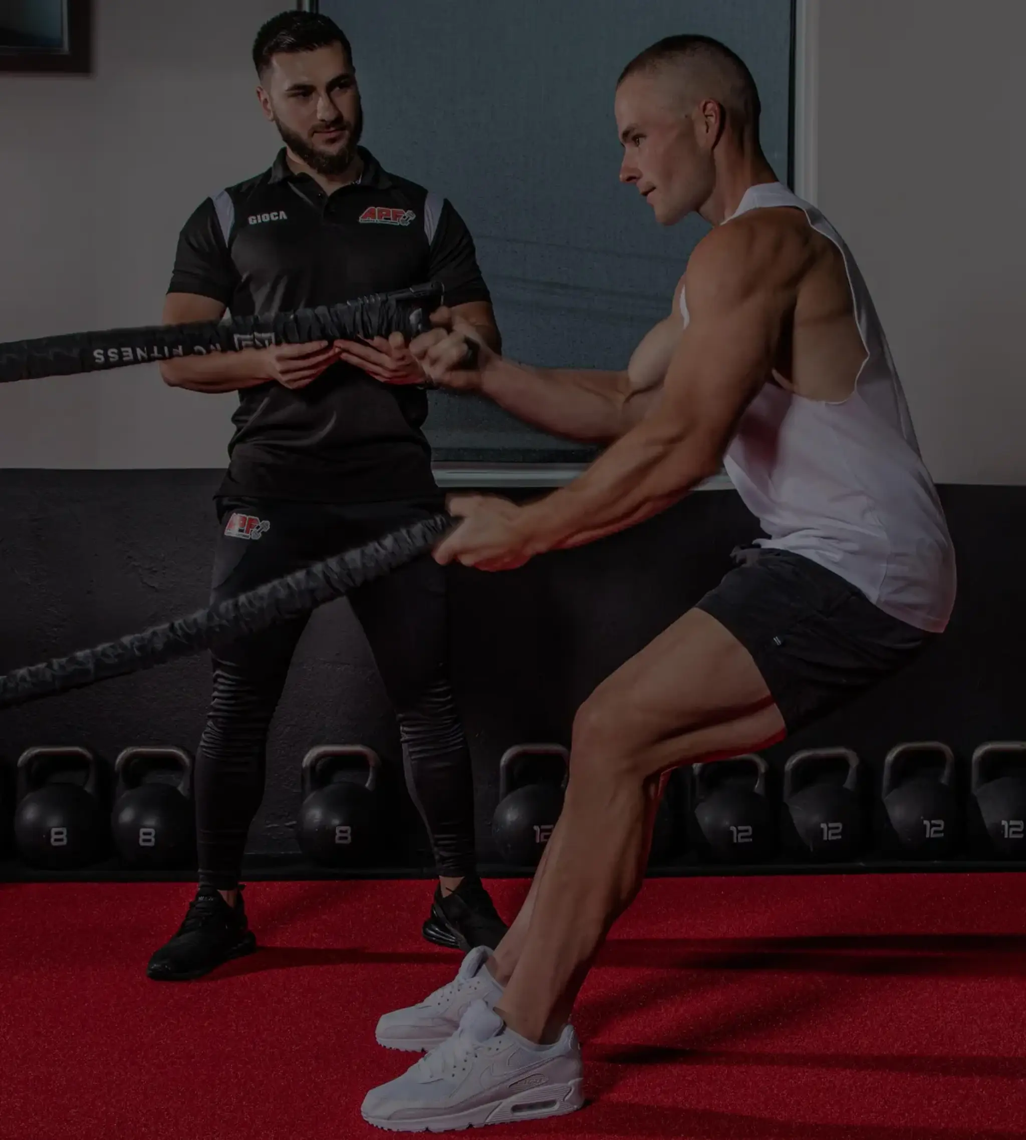 APF Strength and Conditioning (Anytime Fitness, Narellan)