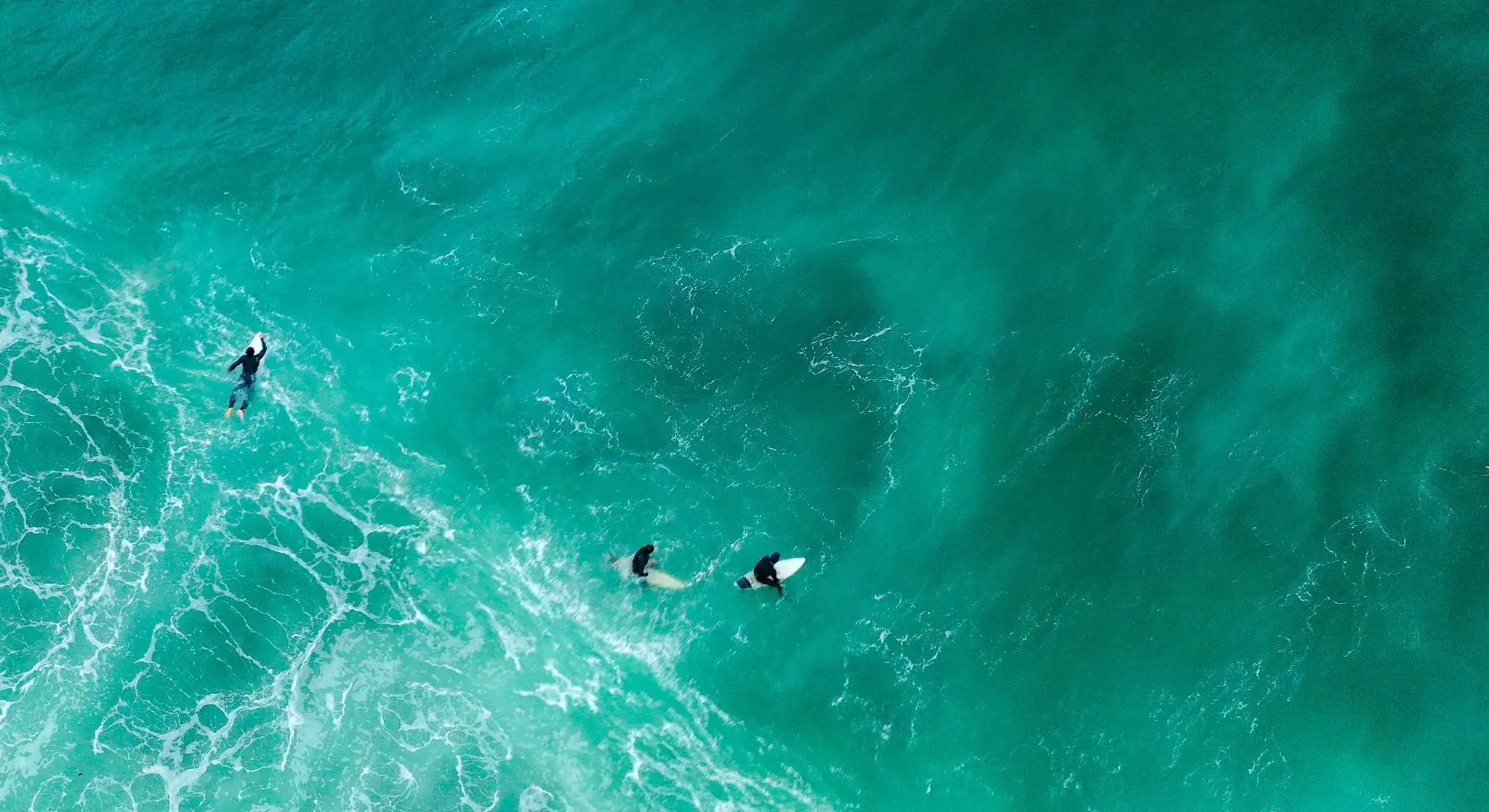 Sea Body Myotherapy & Movement