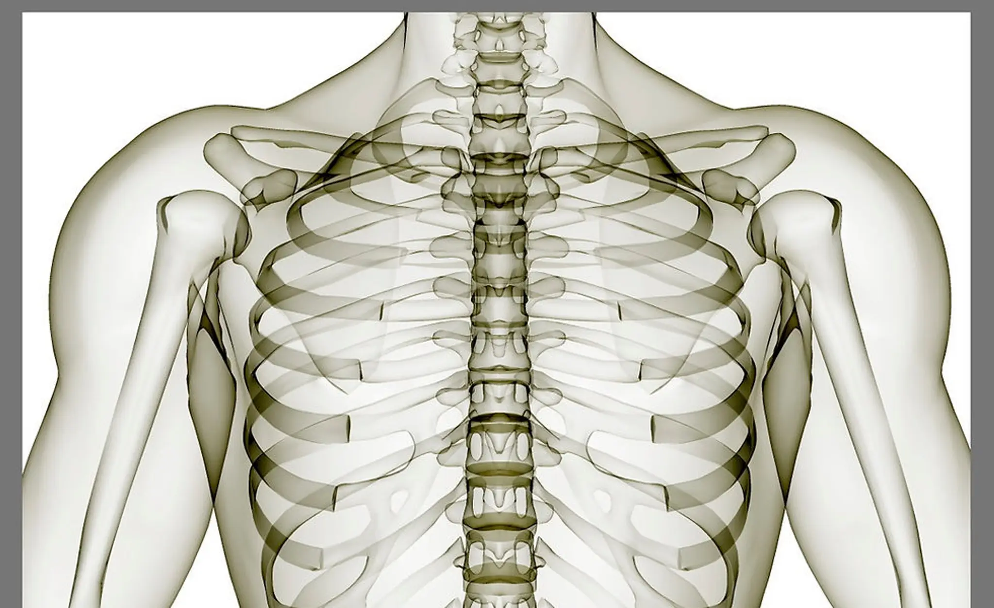 Abstract Bodyworks (UK) Precision Exercise Newbury
