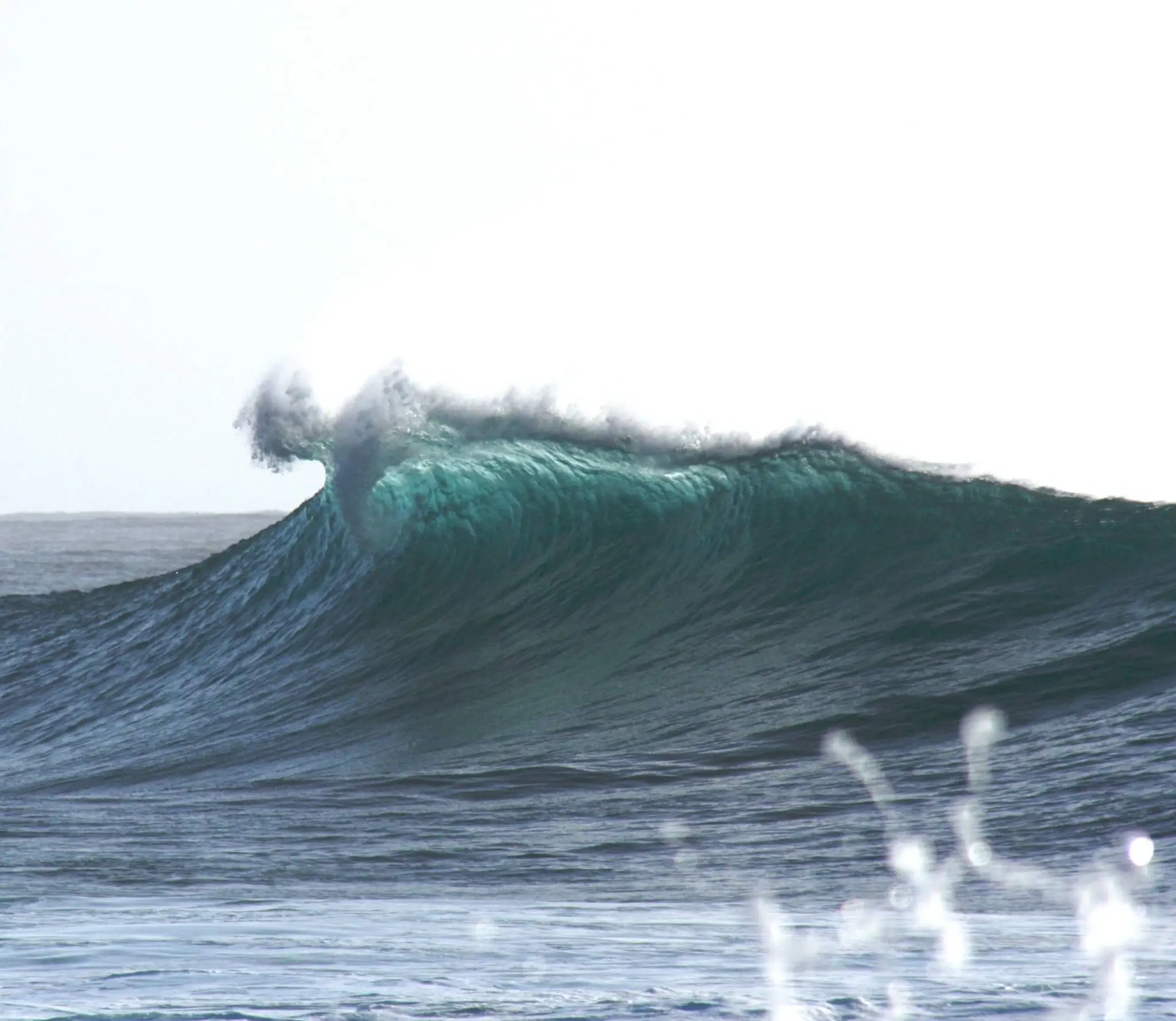Wishbone Surf Shop