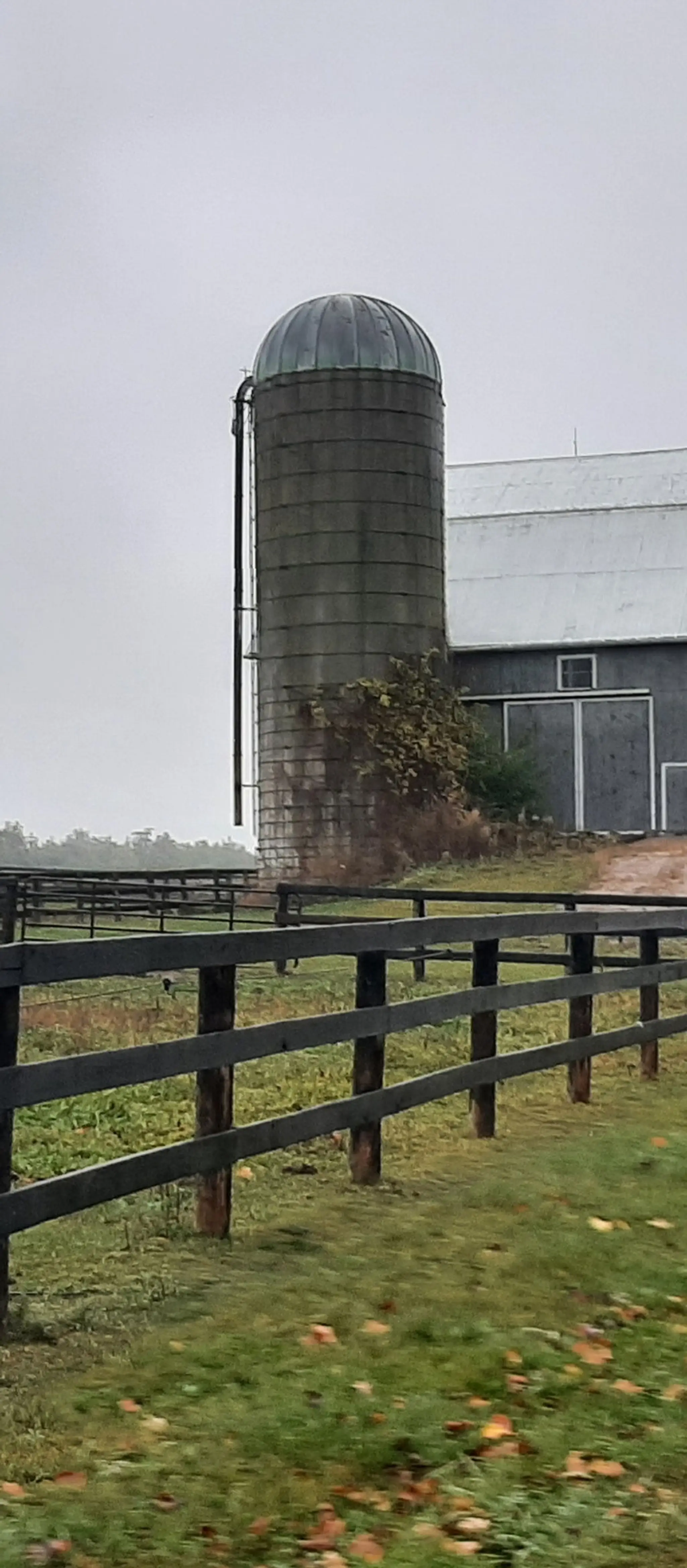 Golden Stirrup Equestrian