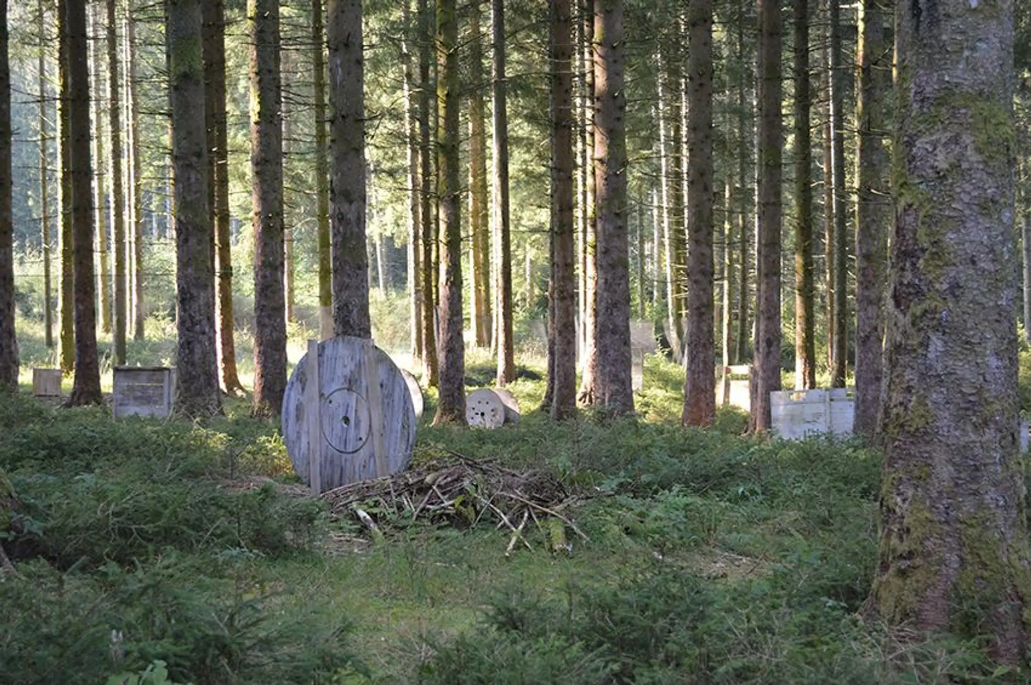 PAINTBALL 88 GERARDMER