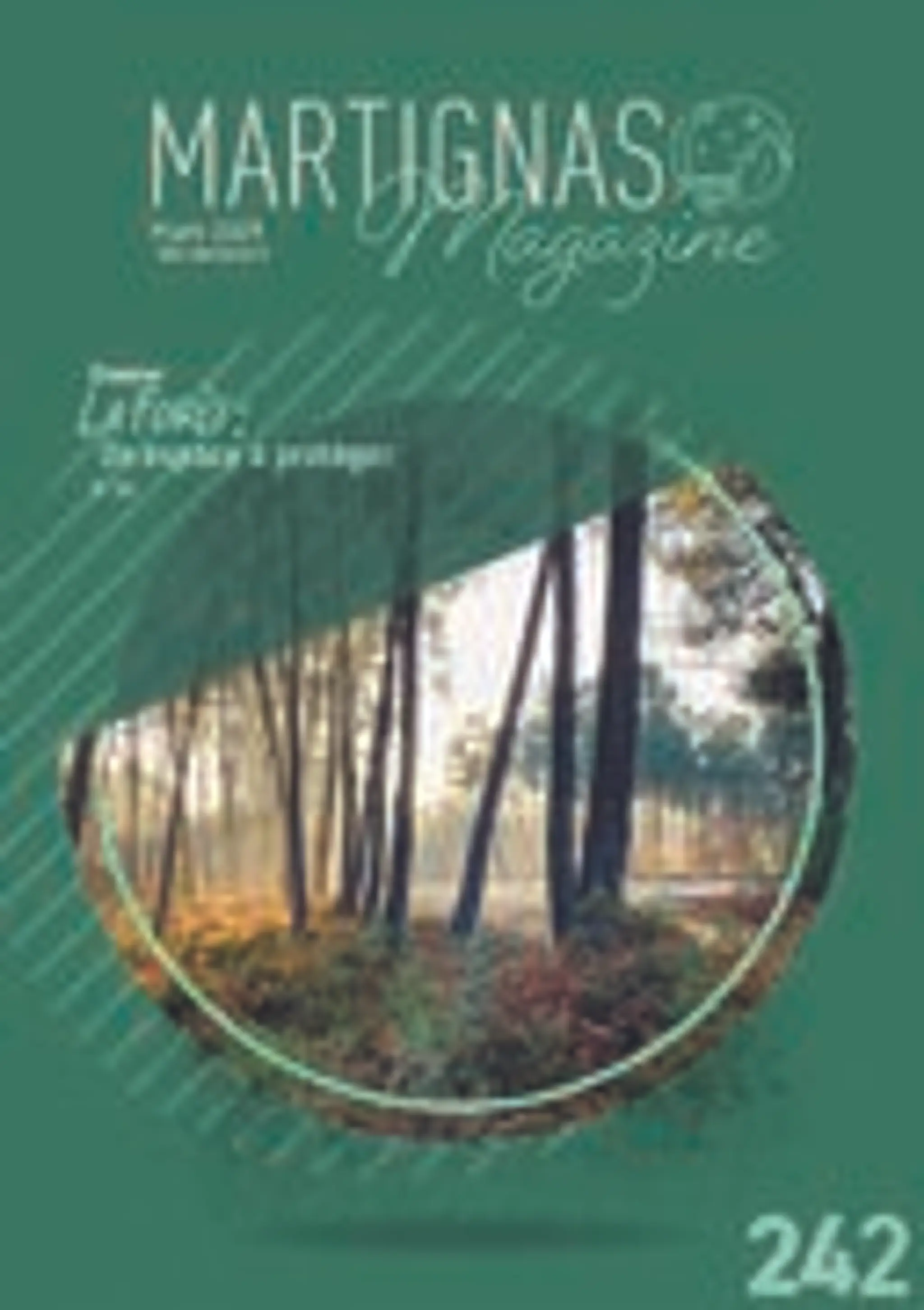 Aire de street workout