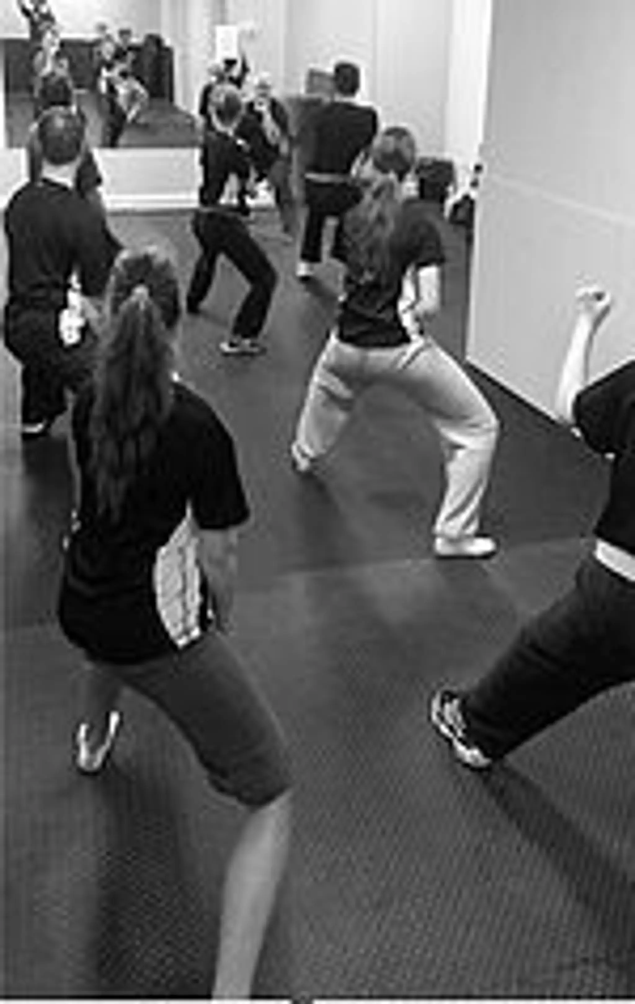 Shaolin Dragon Kenpo School