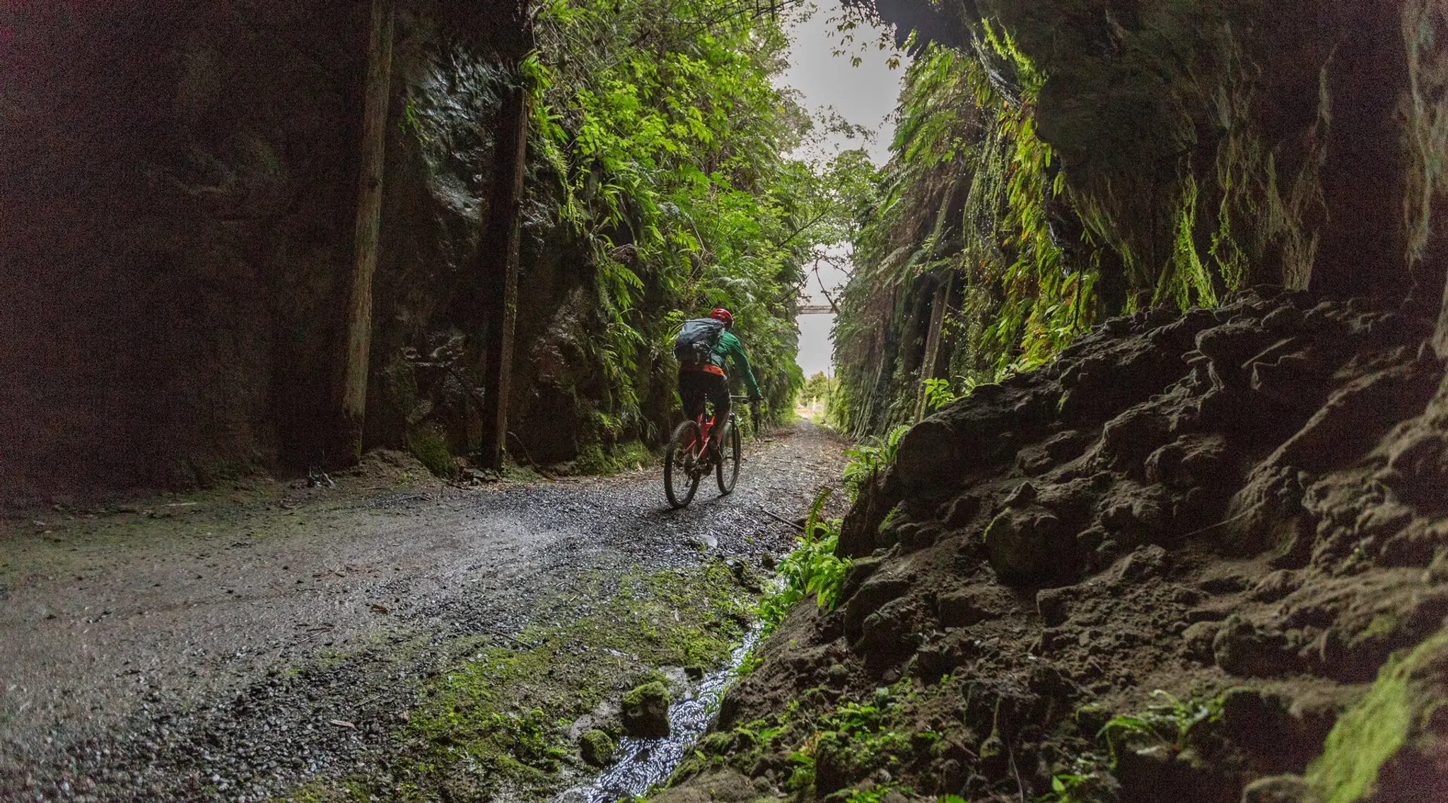Bennett Road Carpark Timber Trail