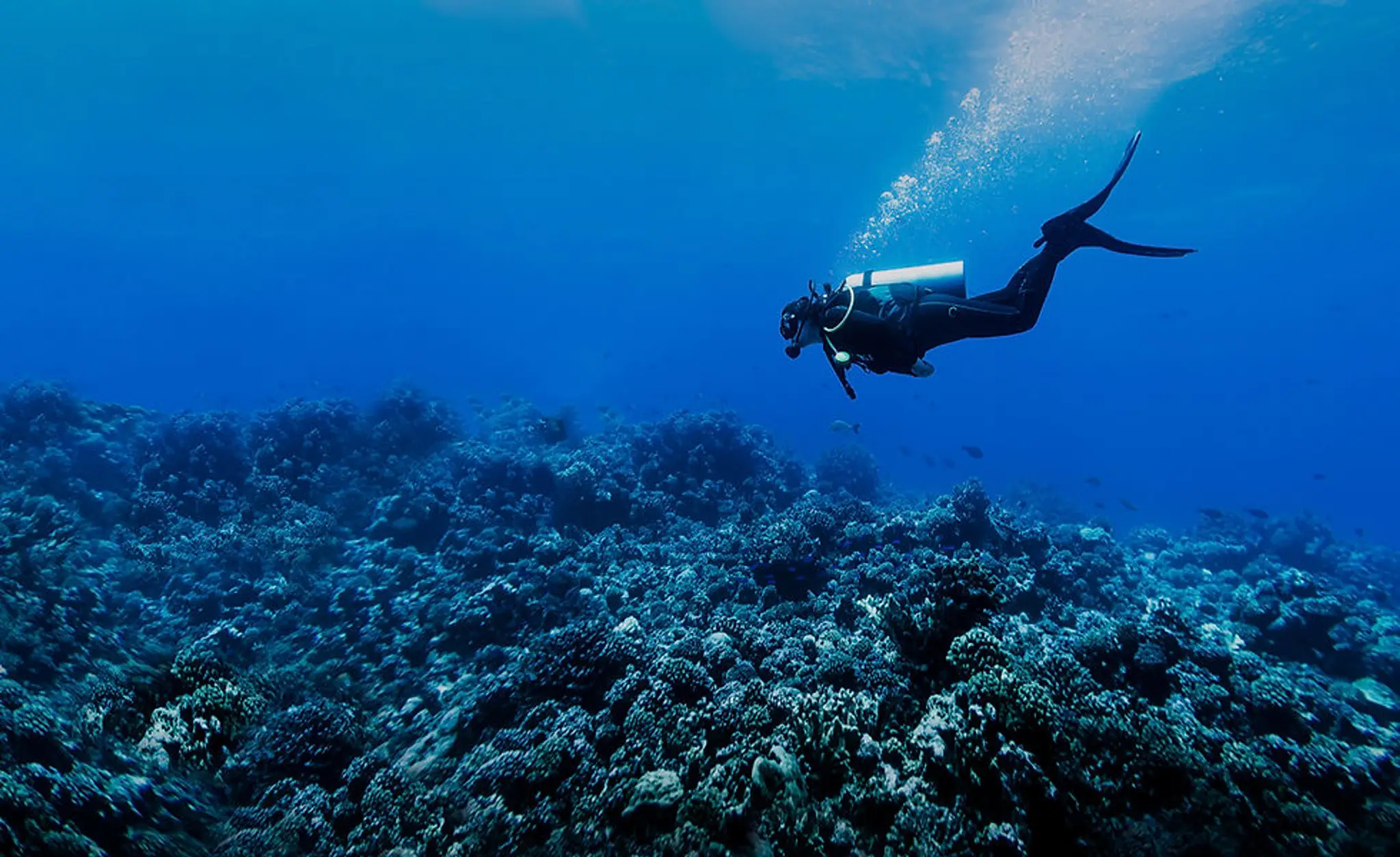 DiveMania Scuba Limited