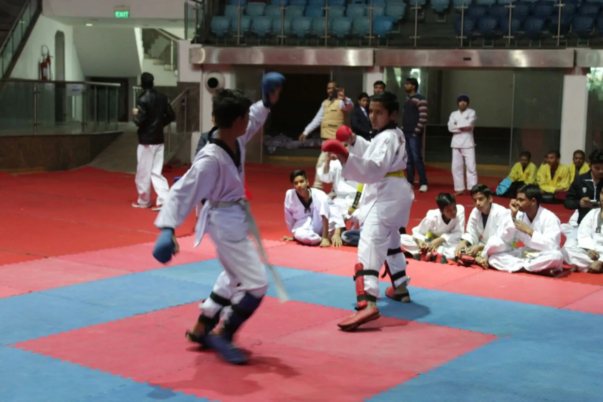 Delhi Karate Organization