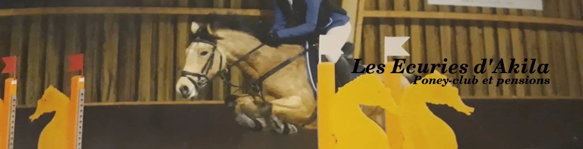 Les Ecuries D'akila