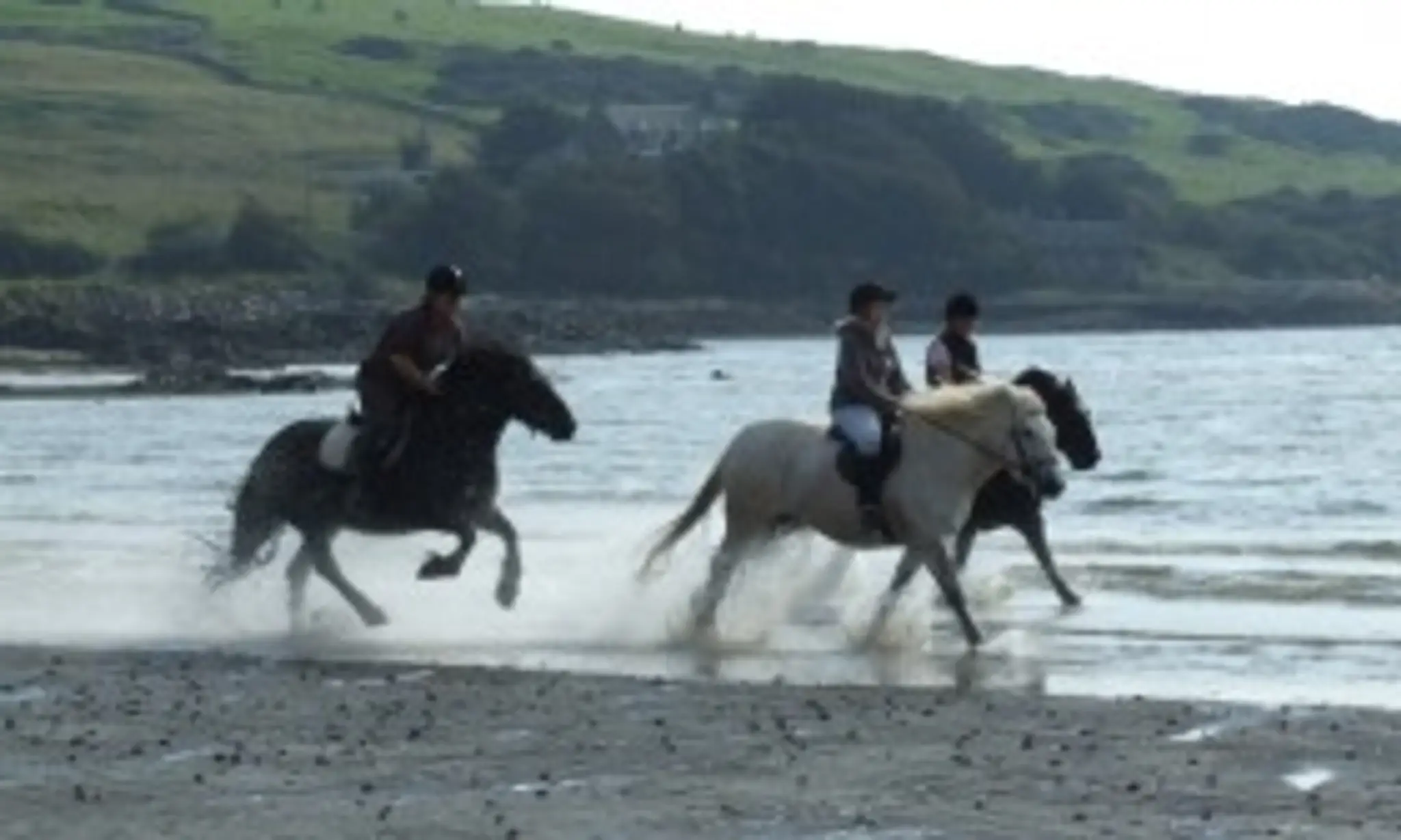 Brighouse Bay Trekking and Riding Centre