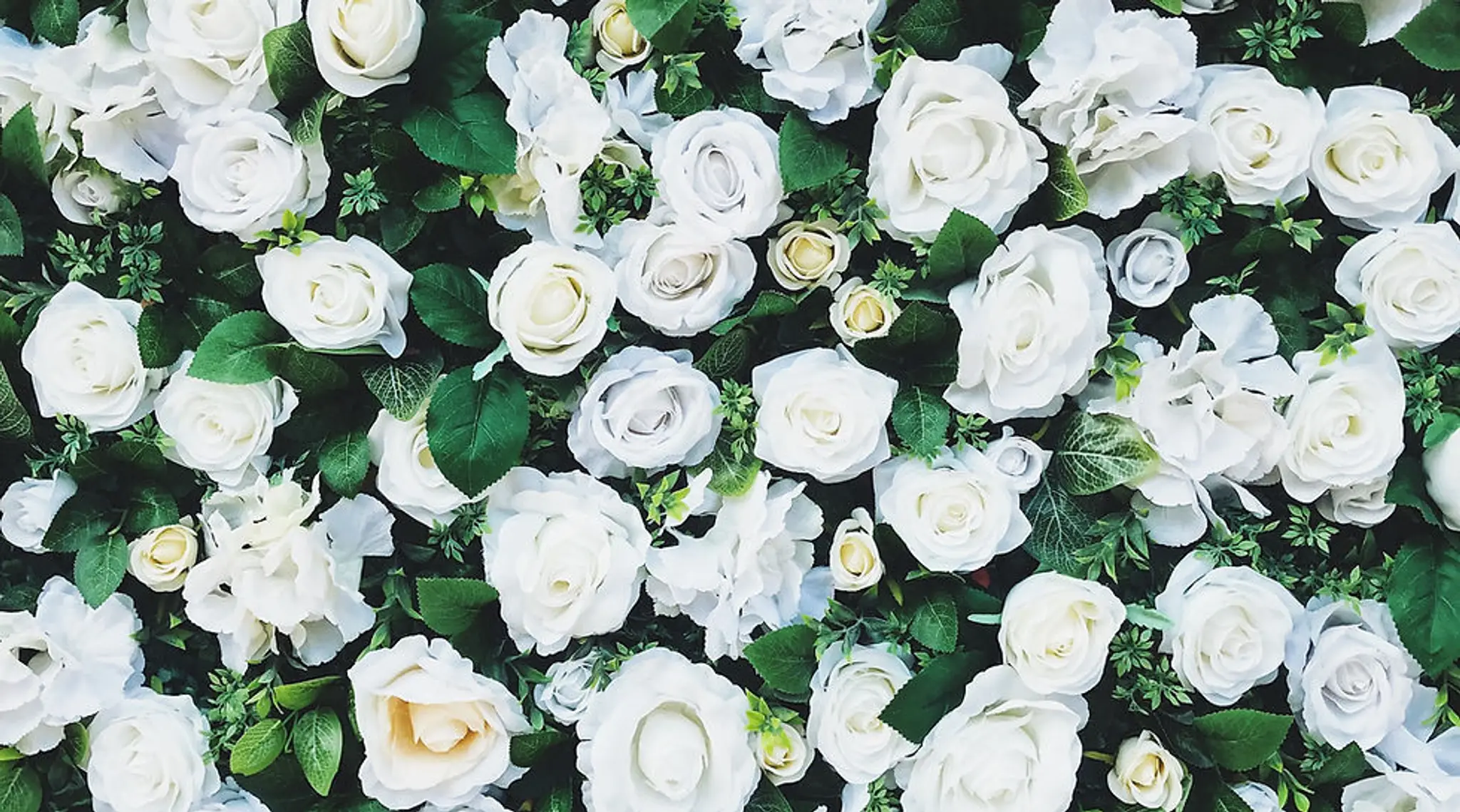 Rose Rituals Wellness