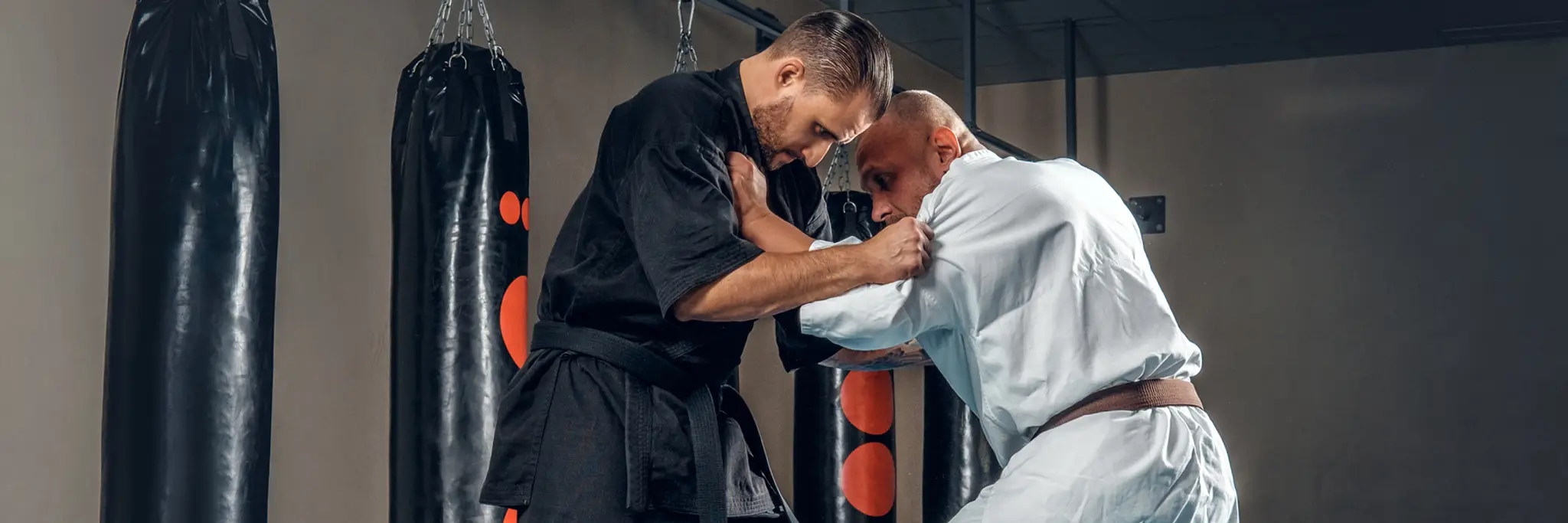 Australasian Aikikai Inc Niagara Park