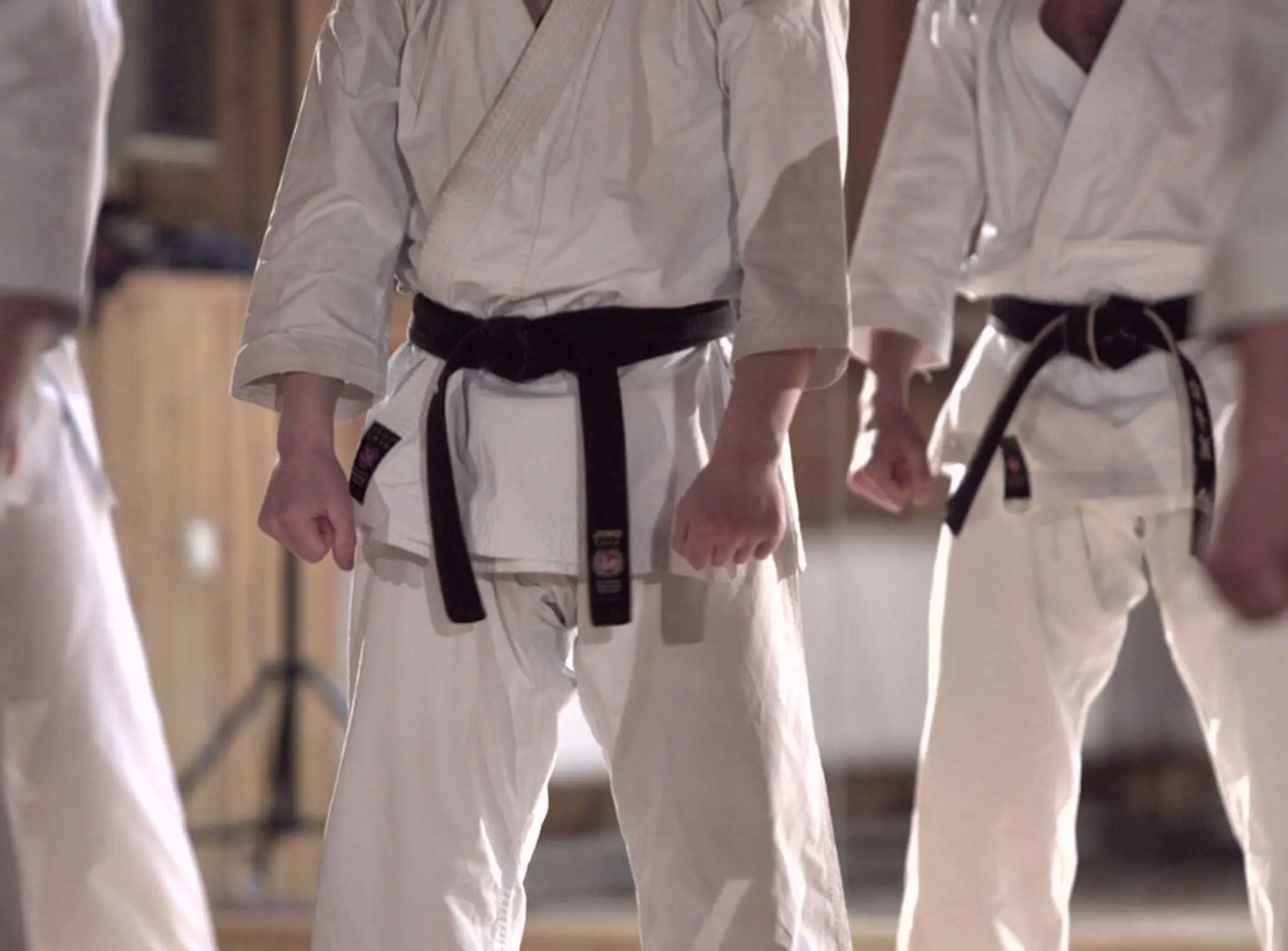 Yoseikan Karate Association