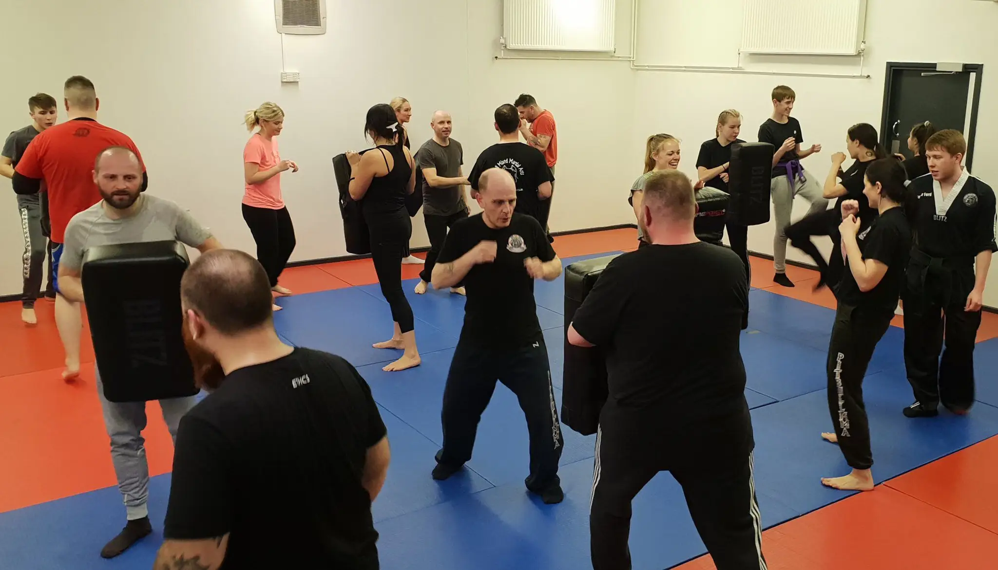 Pitbull Mixed Martial Arts