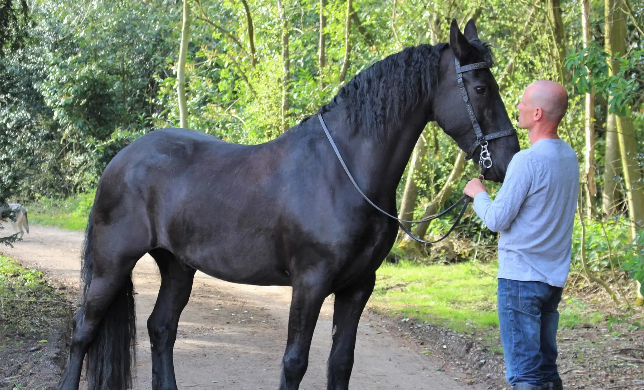 The Centre of Horseback Combat