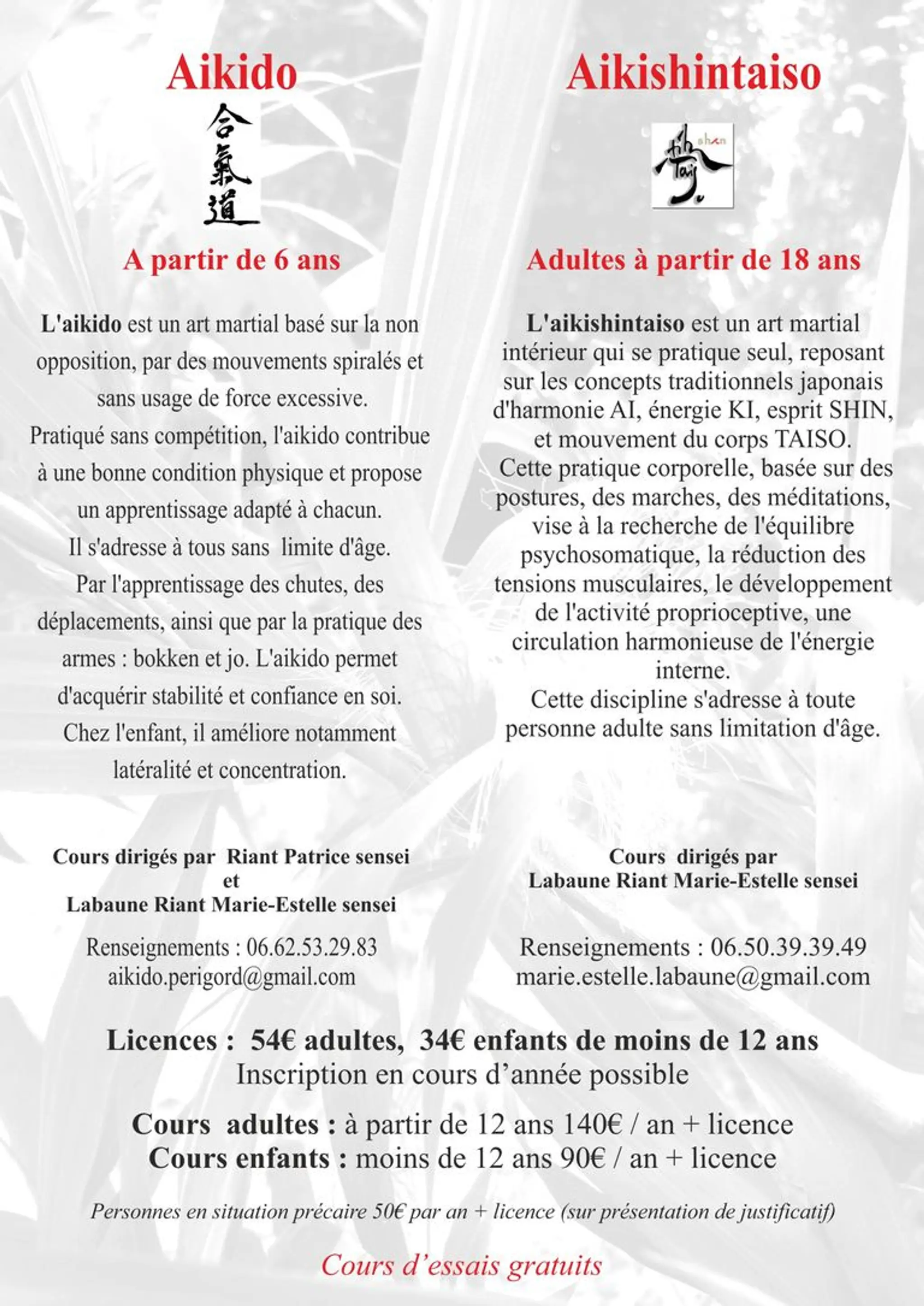 Academy Aikido Du Périgord