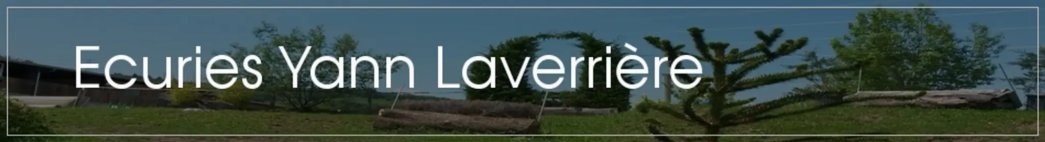 Livestock Madeleine And Stables Yann Laverrière