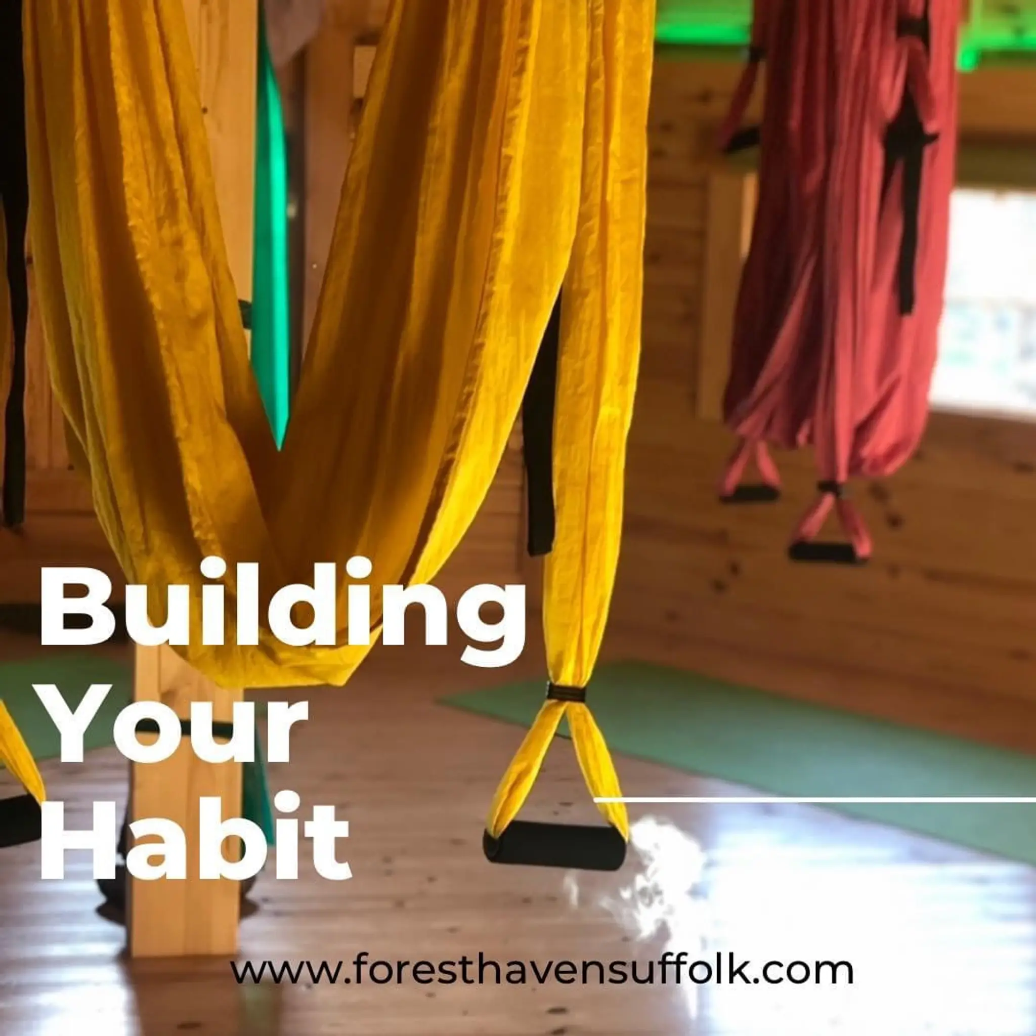 Forest Haven Suffolk