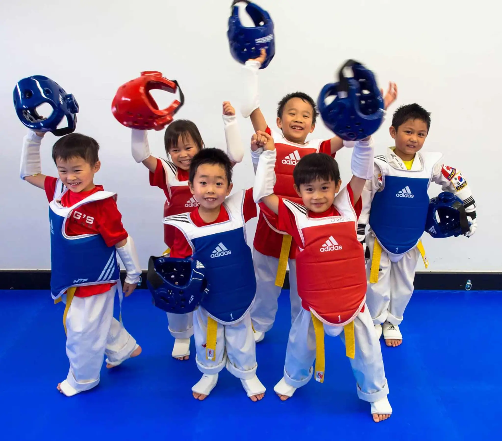 Master Myungs Taekwondo Acadamy