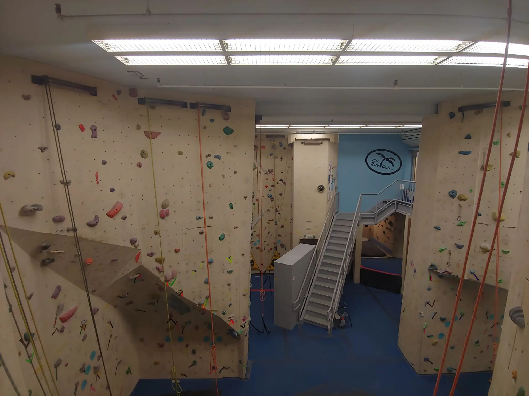 Ajax Rock Oasis
