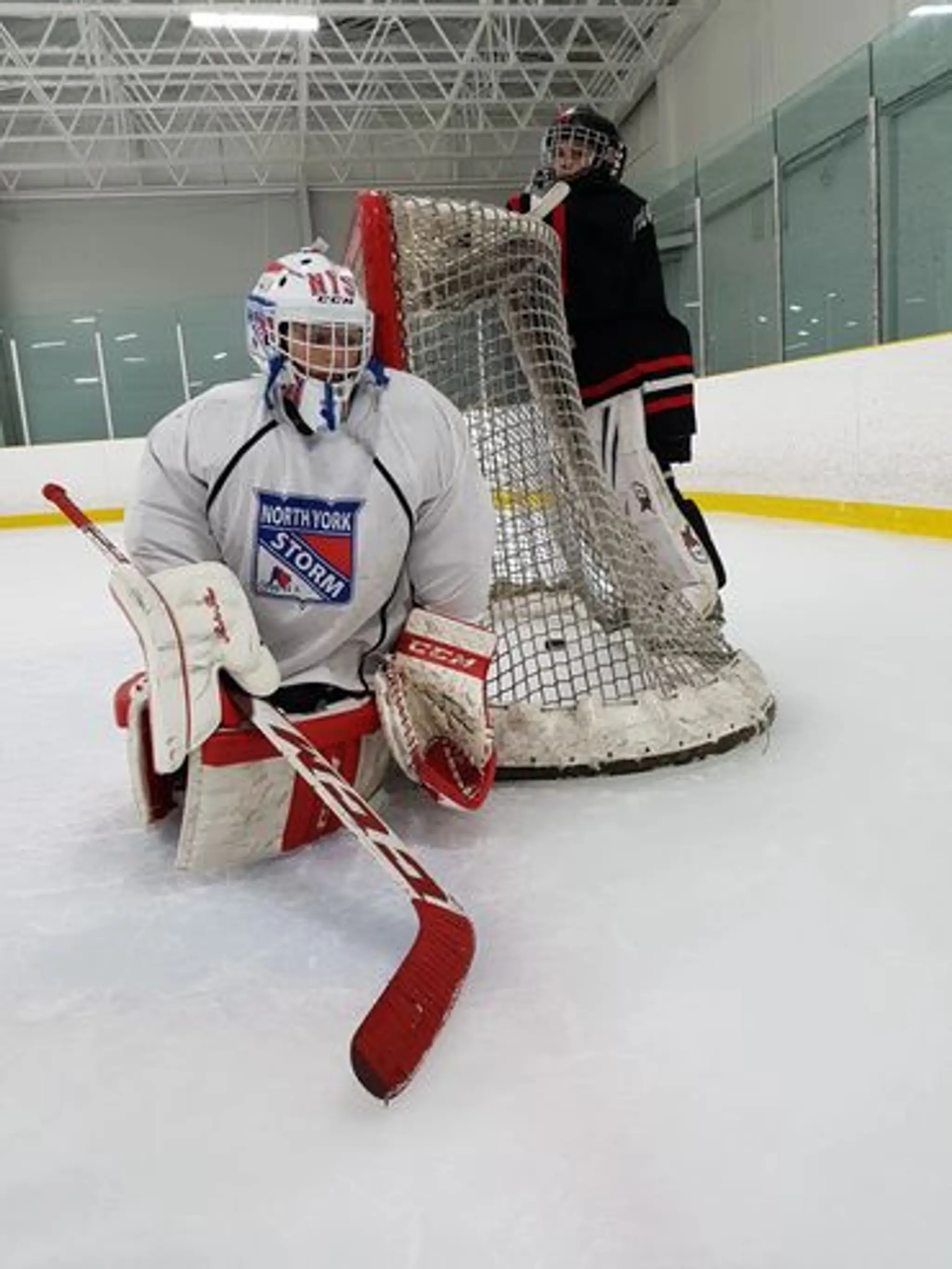 Stop The Puck Goaltending