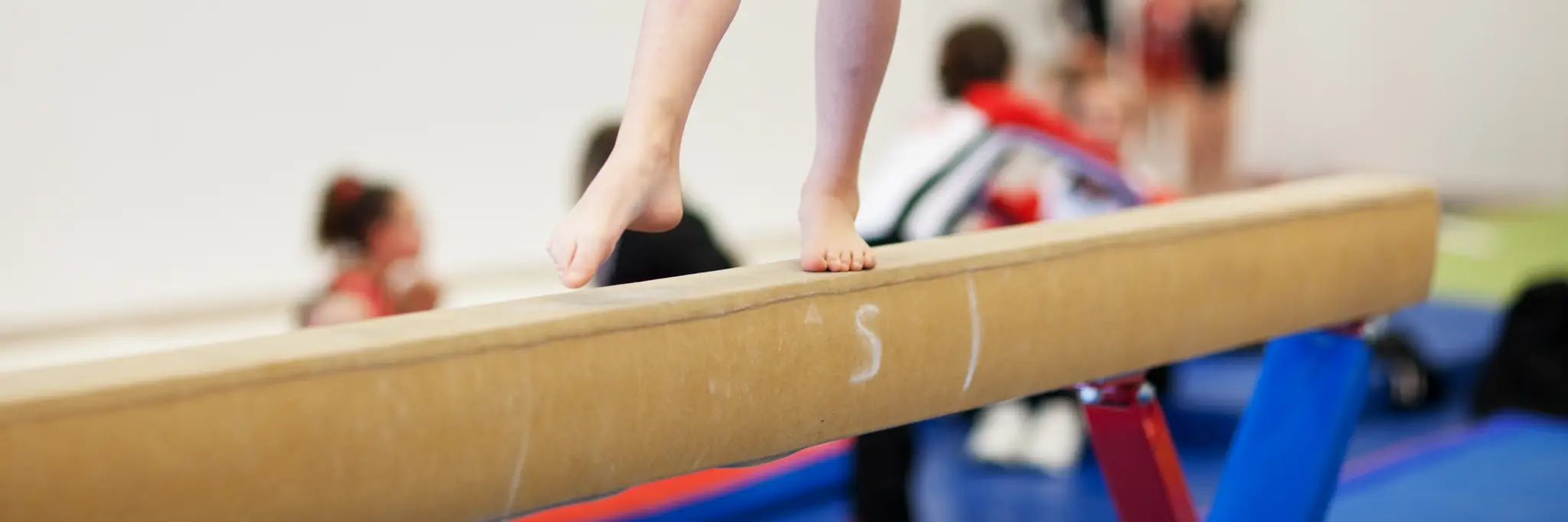 Lane Cove Gymnastics Club