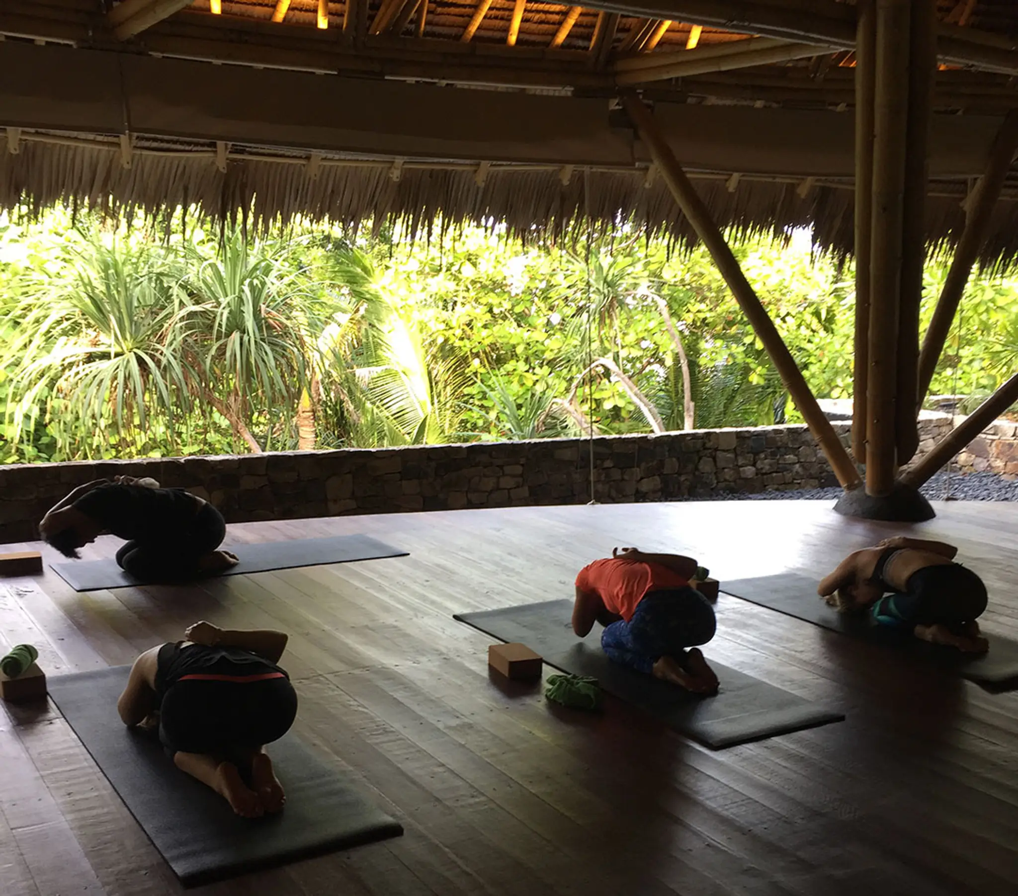 Perform Yoga - The Best Yoga Classes