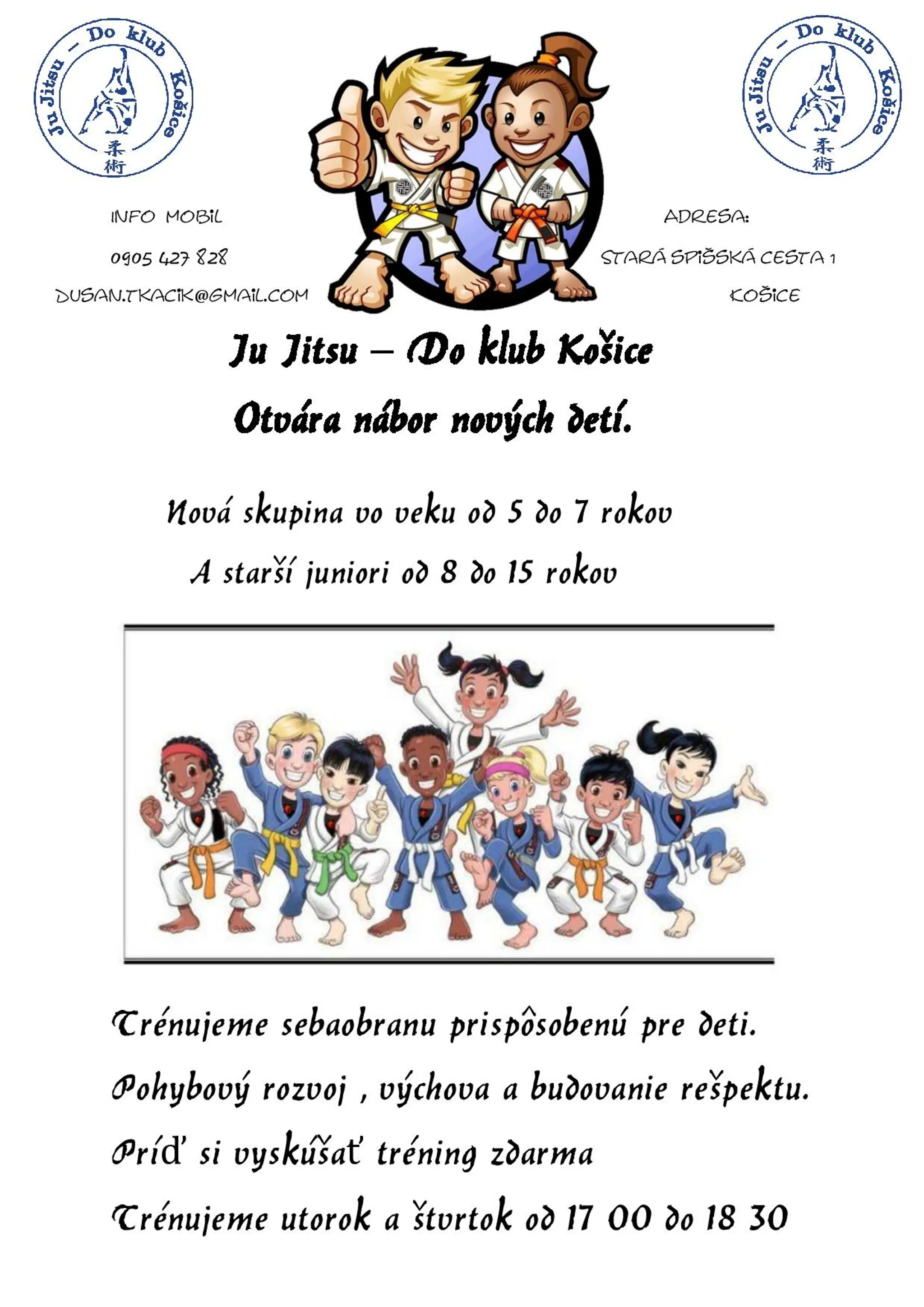Slovenská Federácia Ju Jitsu
