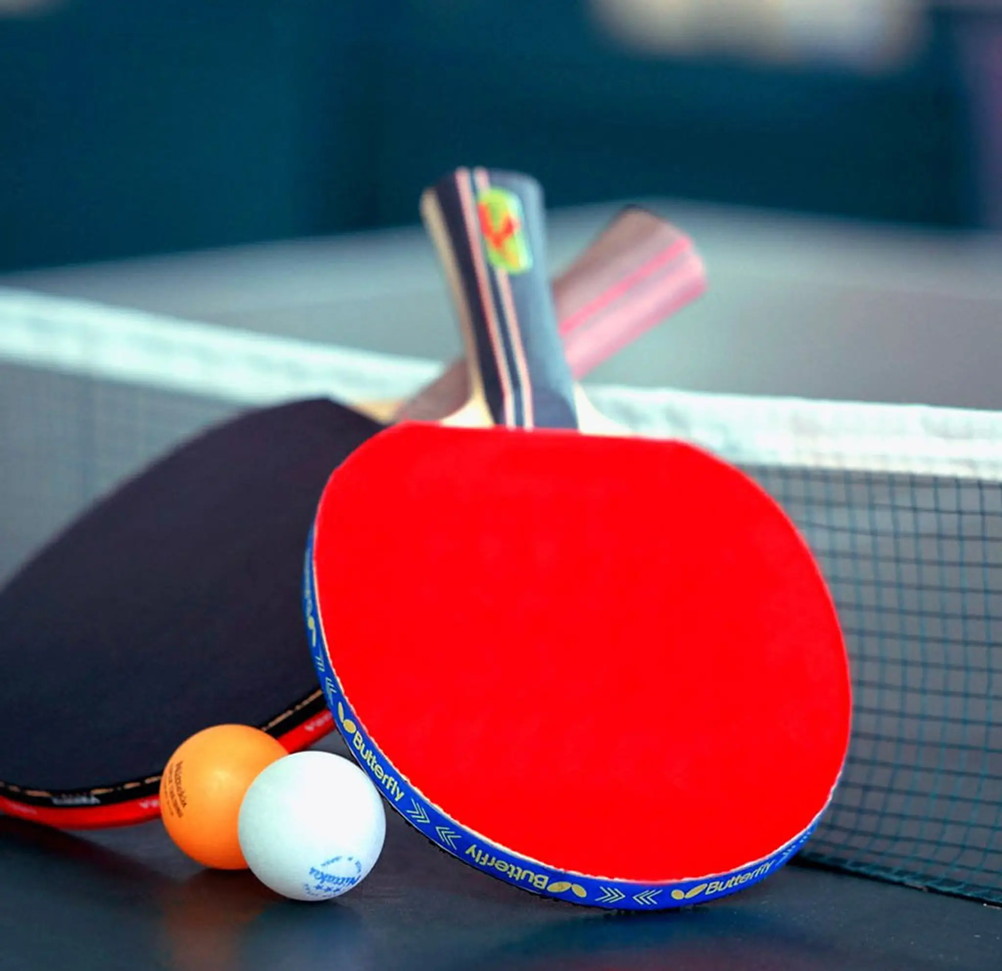 SANFORD LINK TABLE TENNIS CLUB