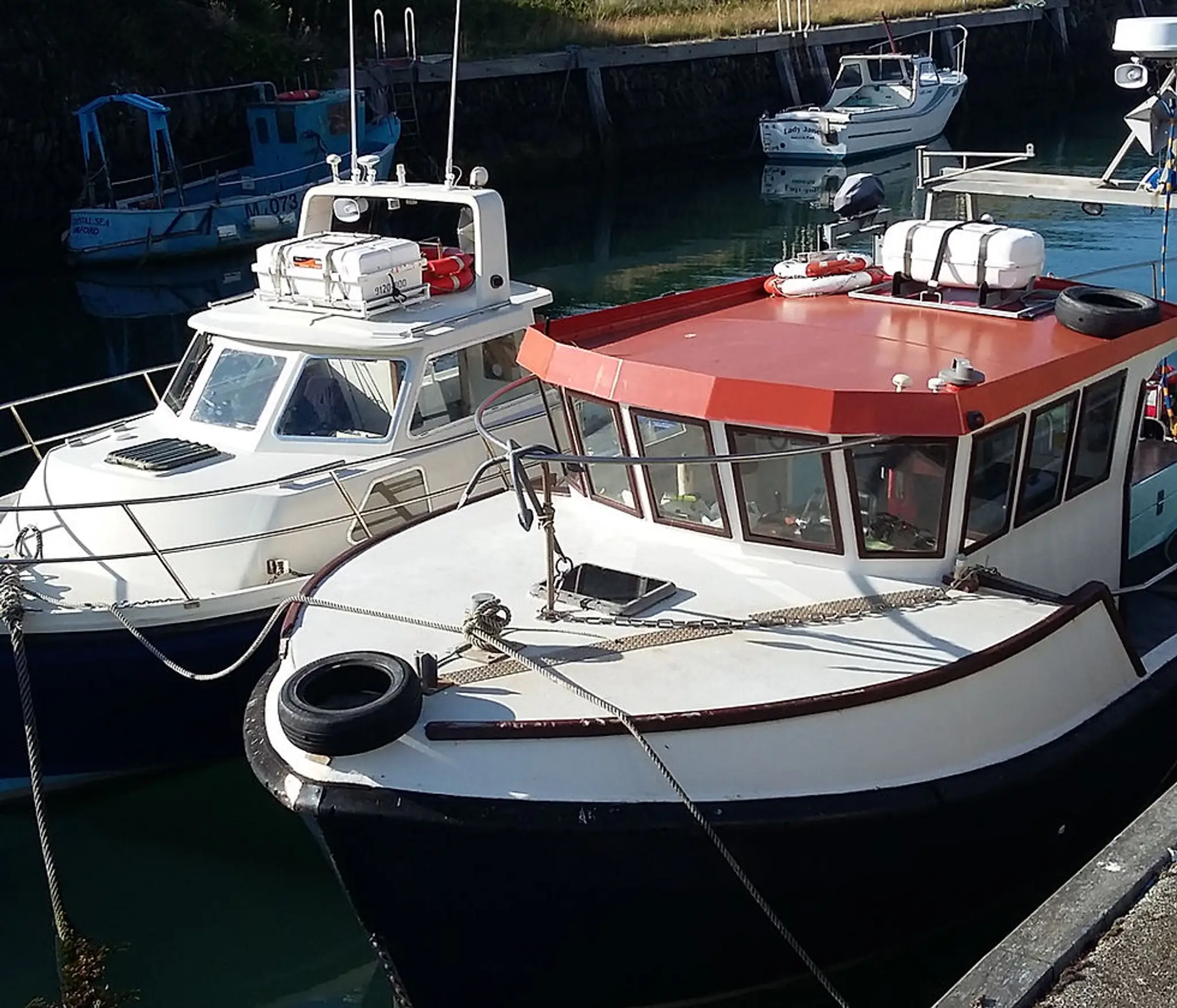 Julie Anne Diving Charters