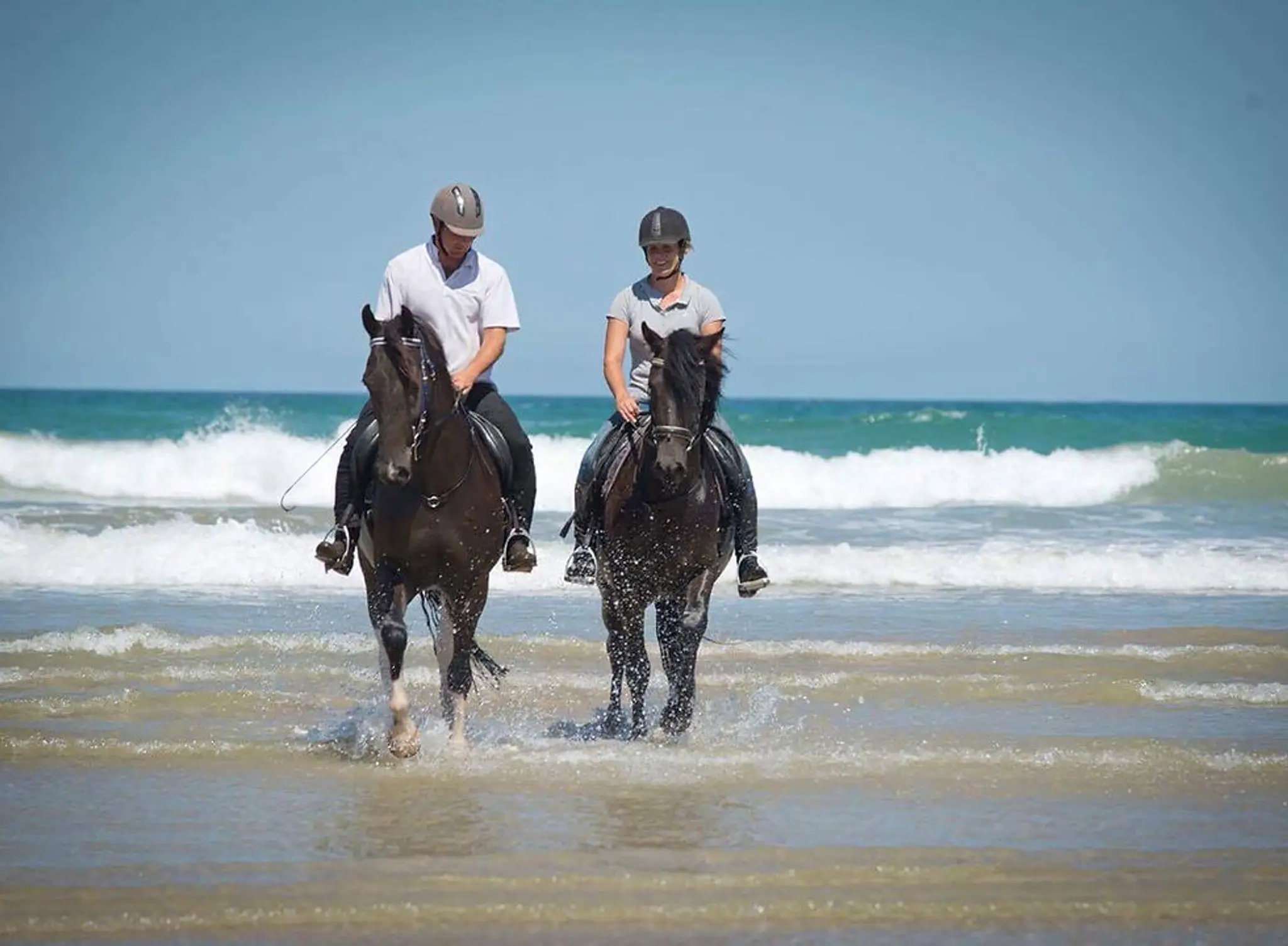 Sterley Horsemanship Solutions