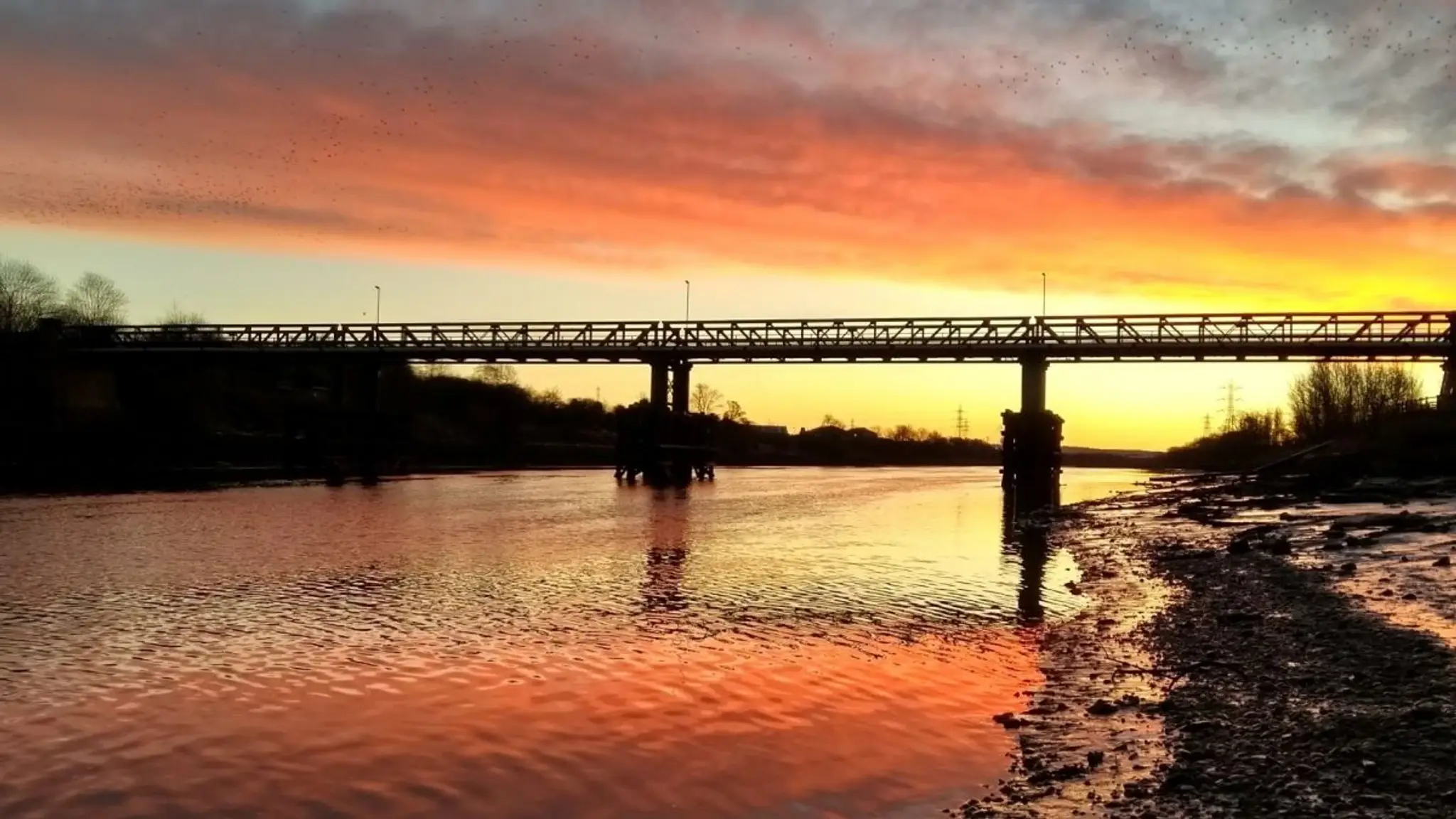 Tyne United Rowing Club