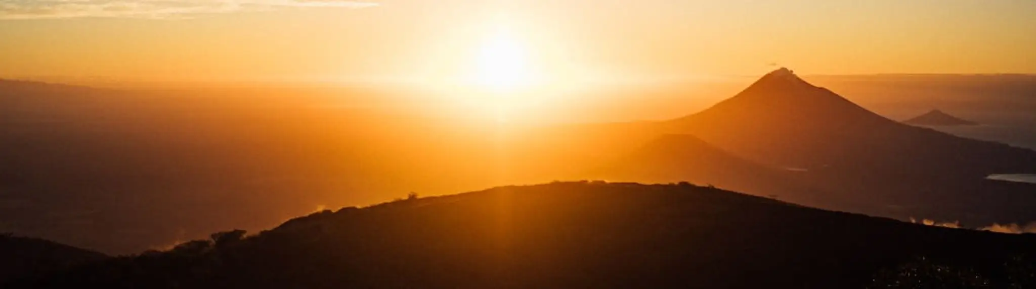 Healthy Living Warrior