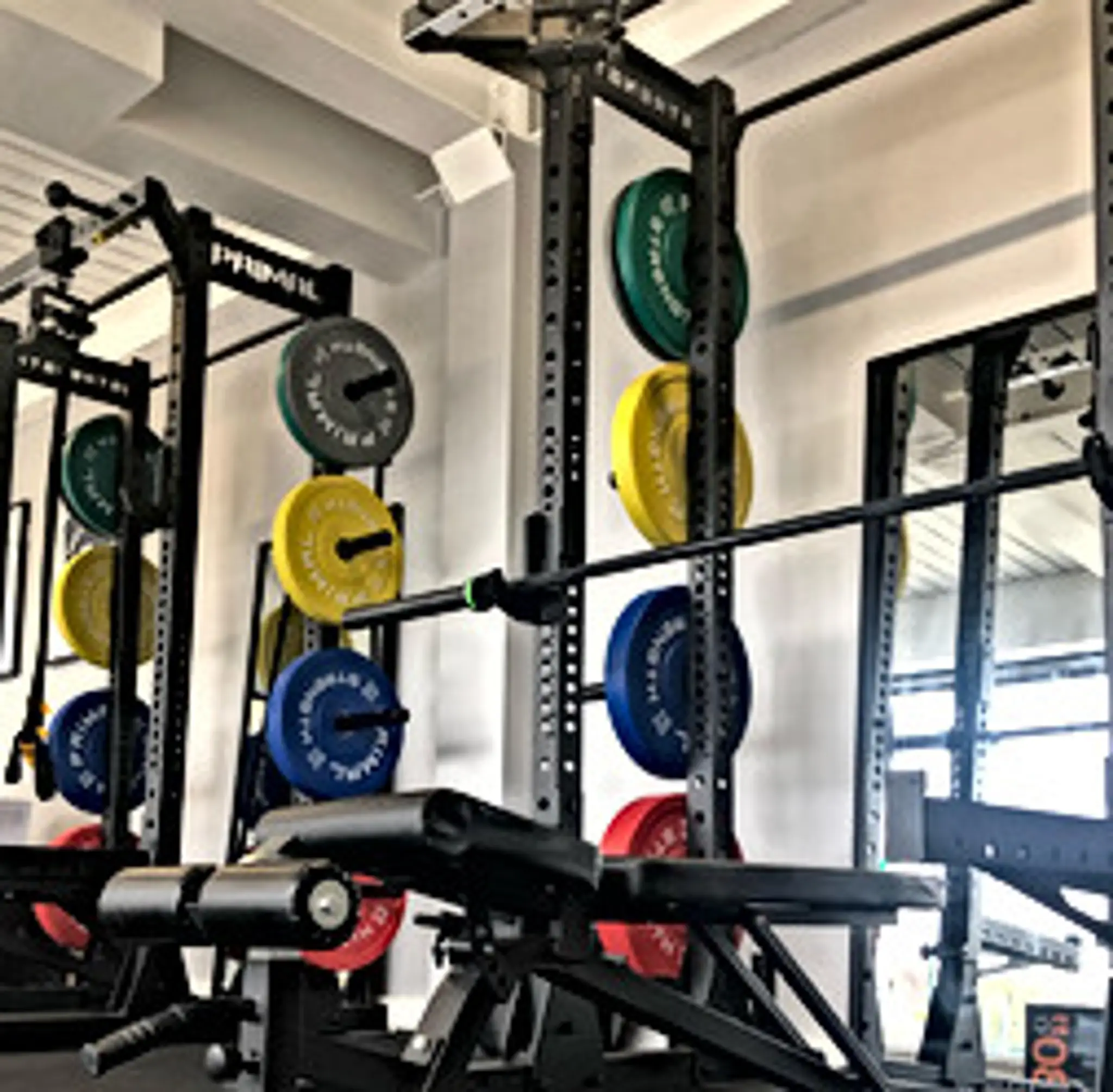 ZONE SIX - Health & Performance | Physiotherapy & Training