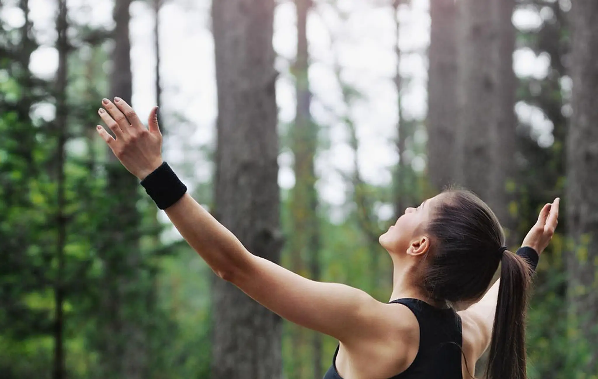 East Hants Chiropractic Clinic